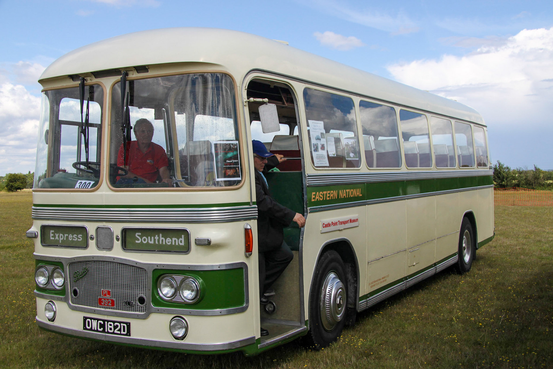 Heavy Shire Horse Show