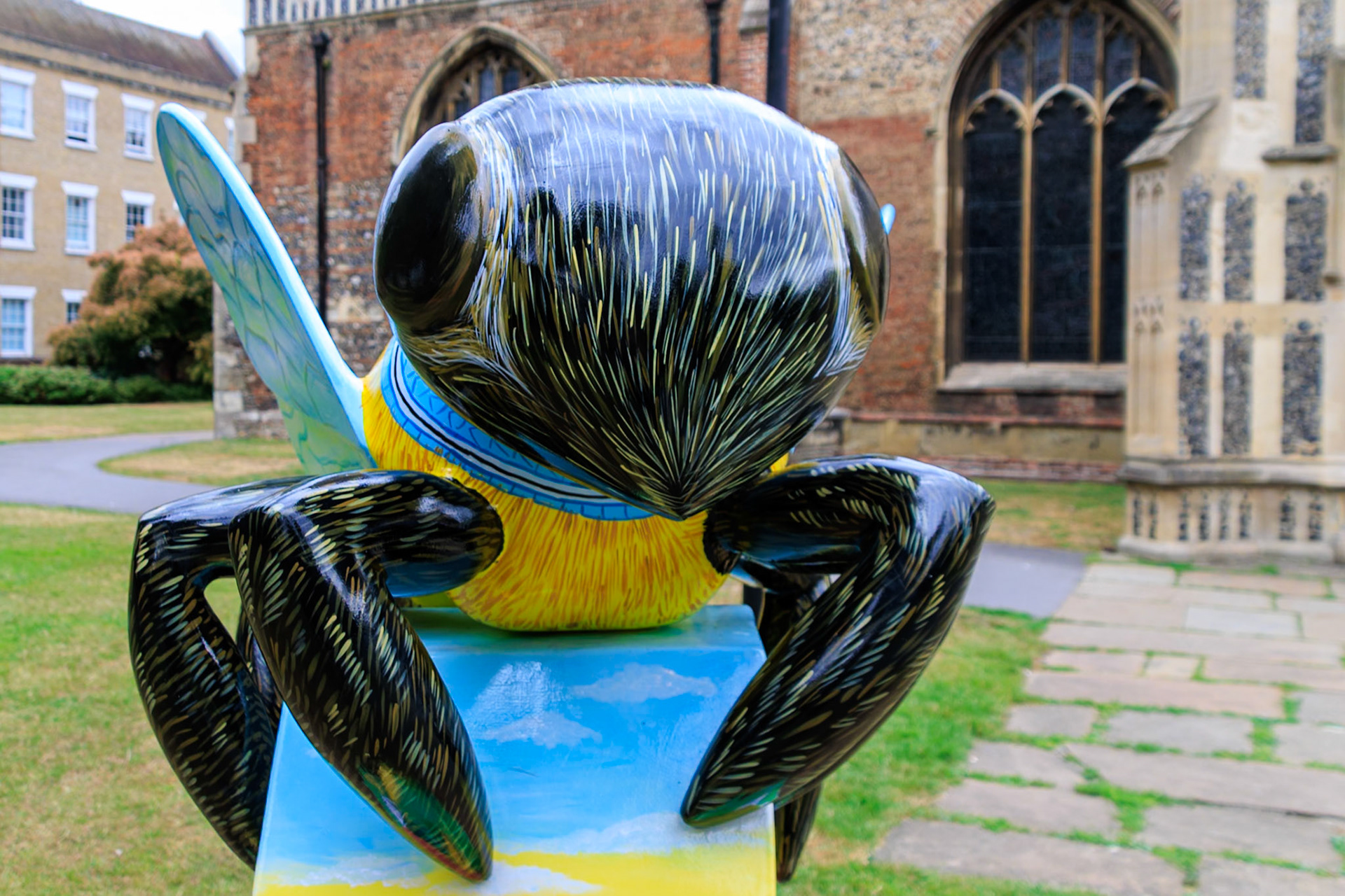 Buzz in the City - Chelmsford from above