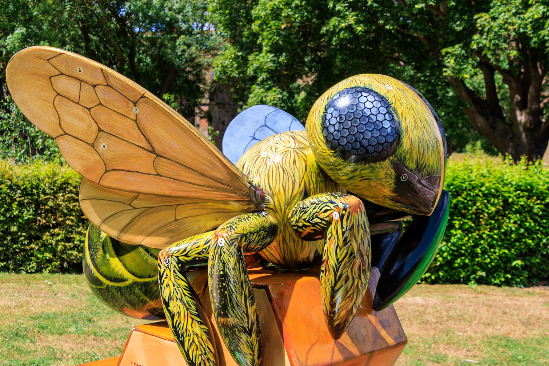 Buzz in the City - Bee inside