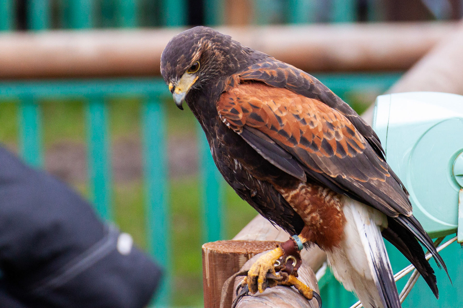 Paradise Wildlife Park