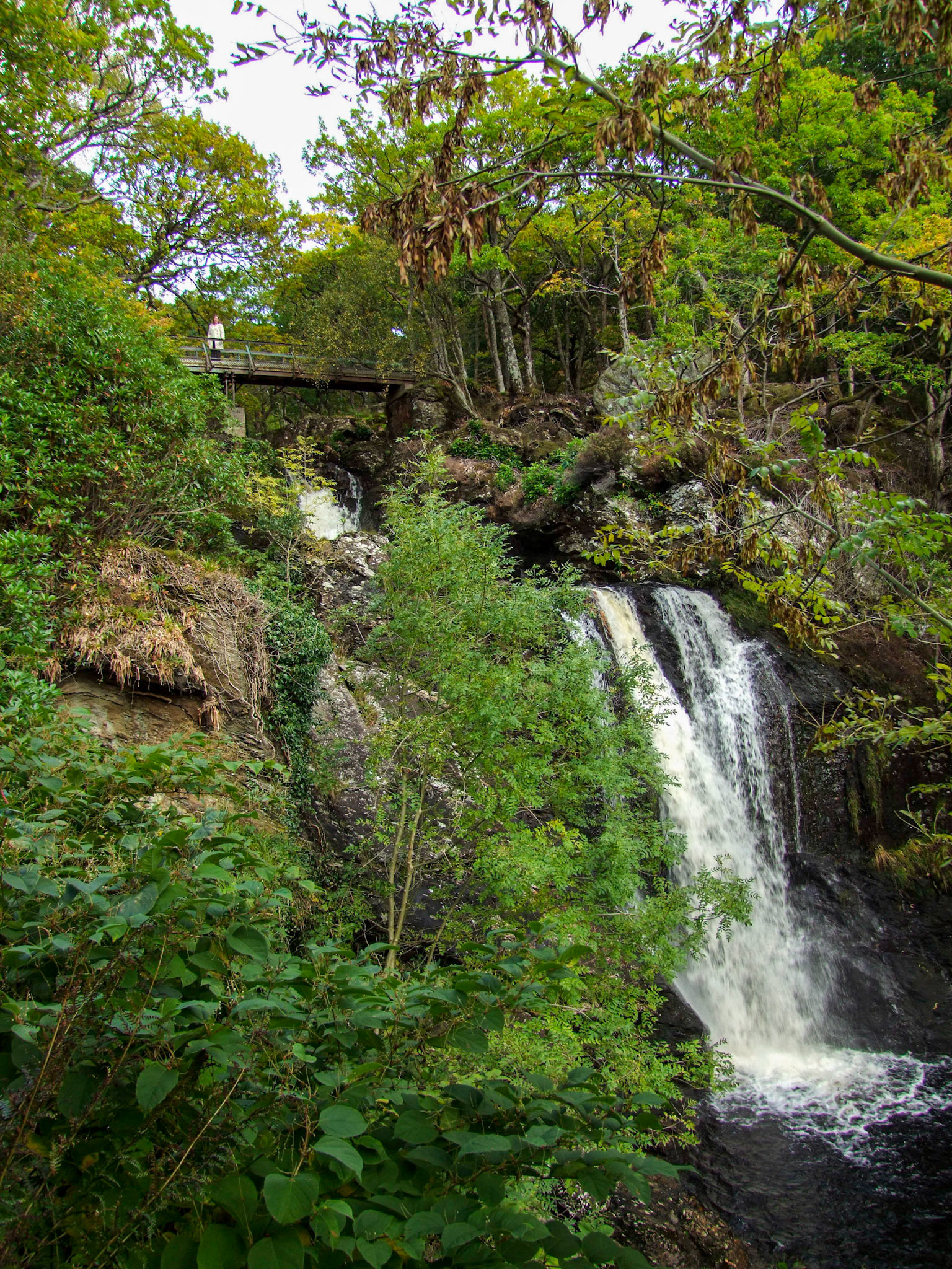 Lochs & Glens