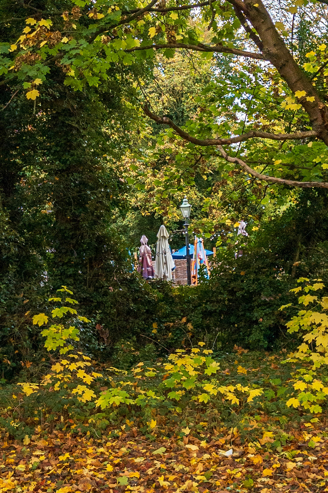 u3a St Alban's