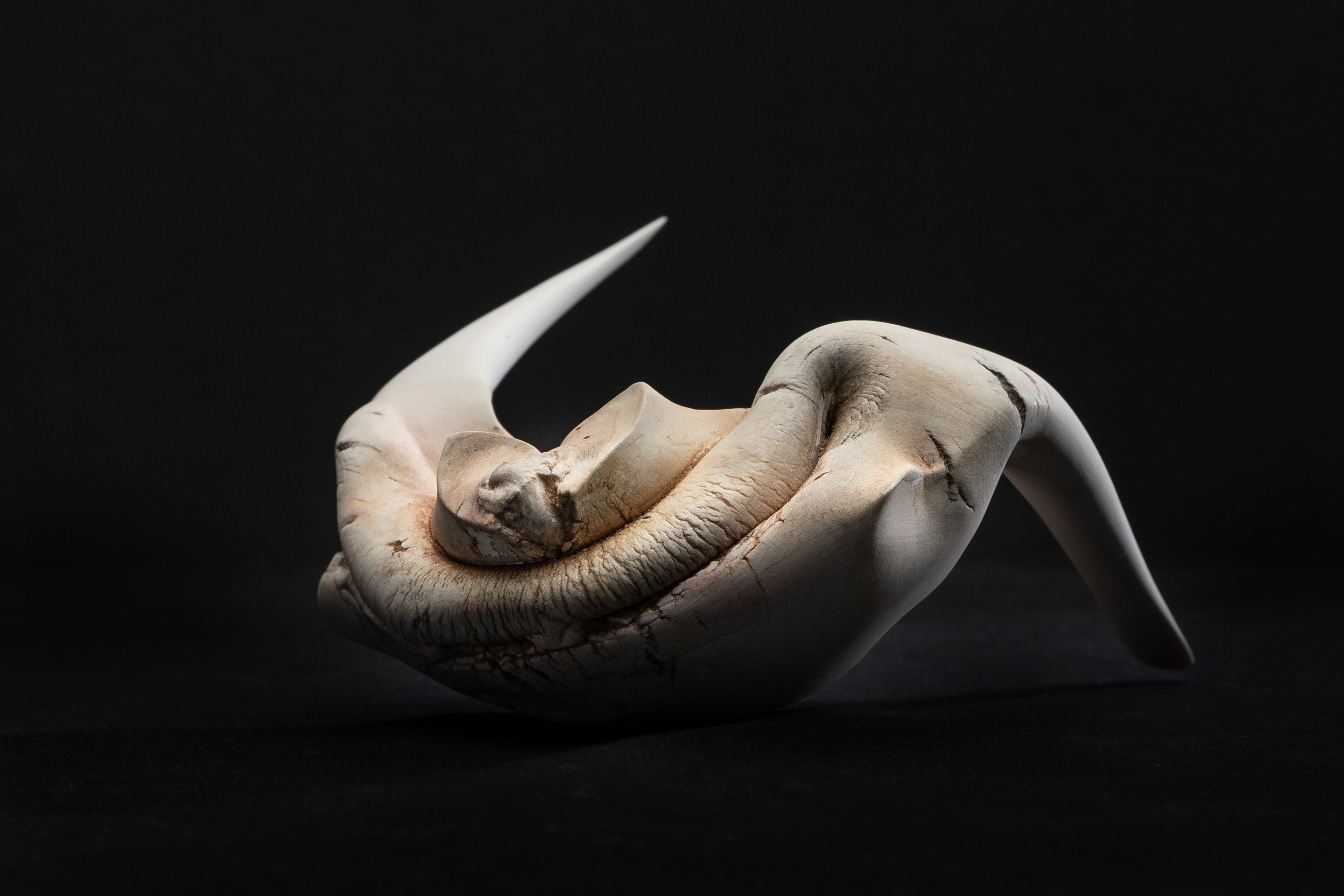 Where we are - 2019 - porcelain oxides - 11 x 16 x 12 - photo Peter Müllenberg.jpg
