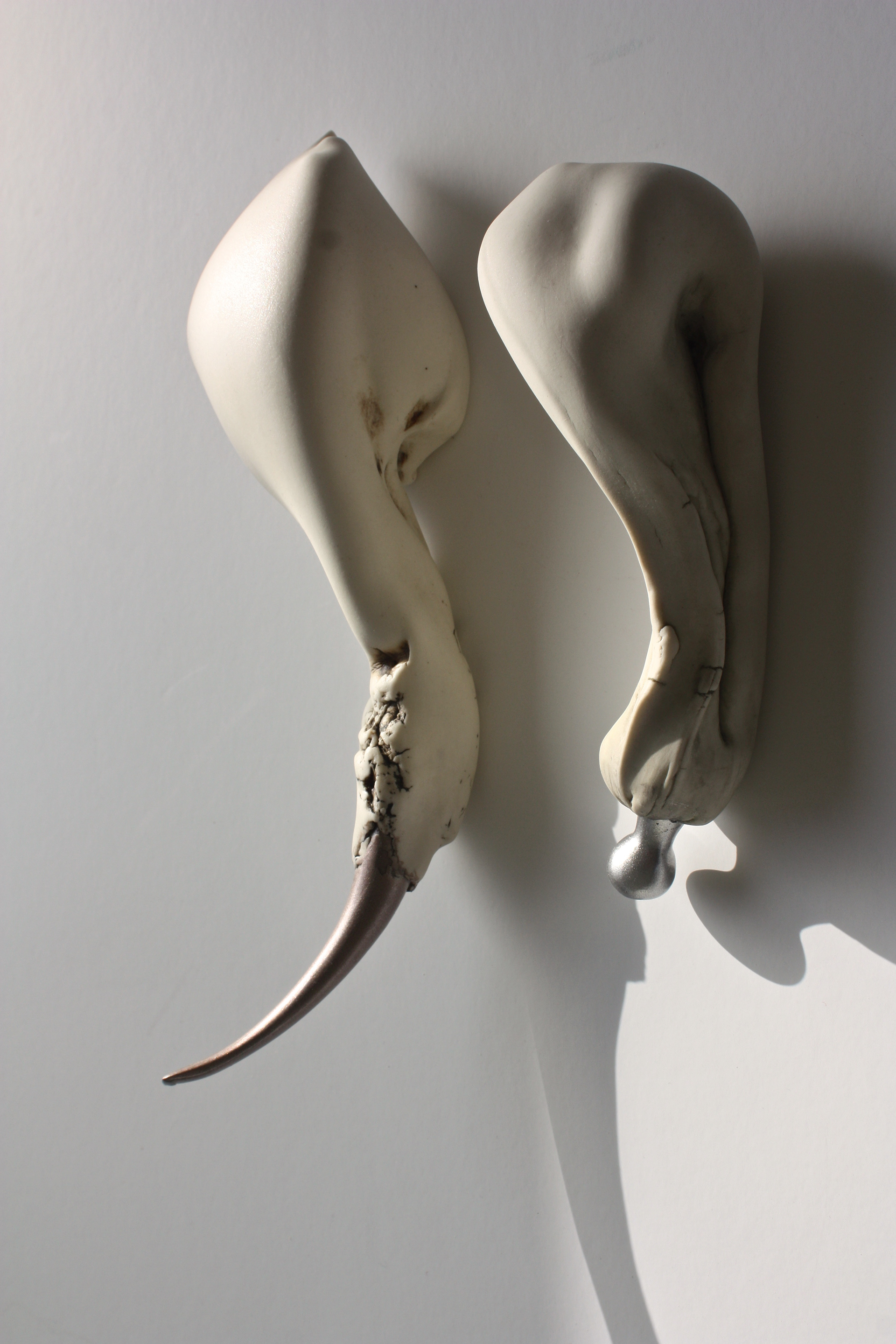 From the series 'I told you we had something in common'