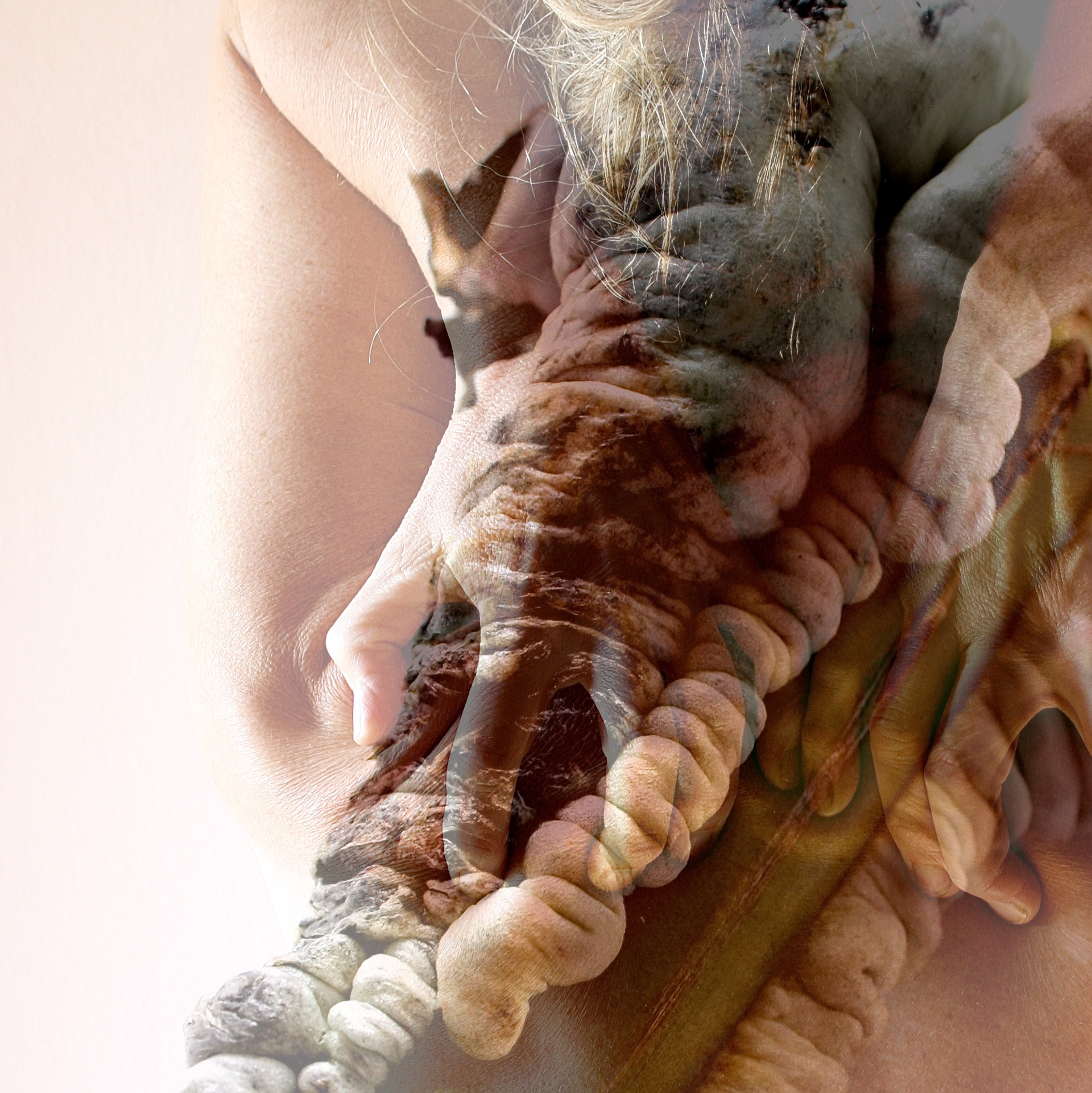 Huitlacoche - 2021 - photo - 20 x 20