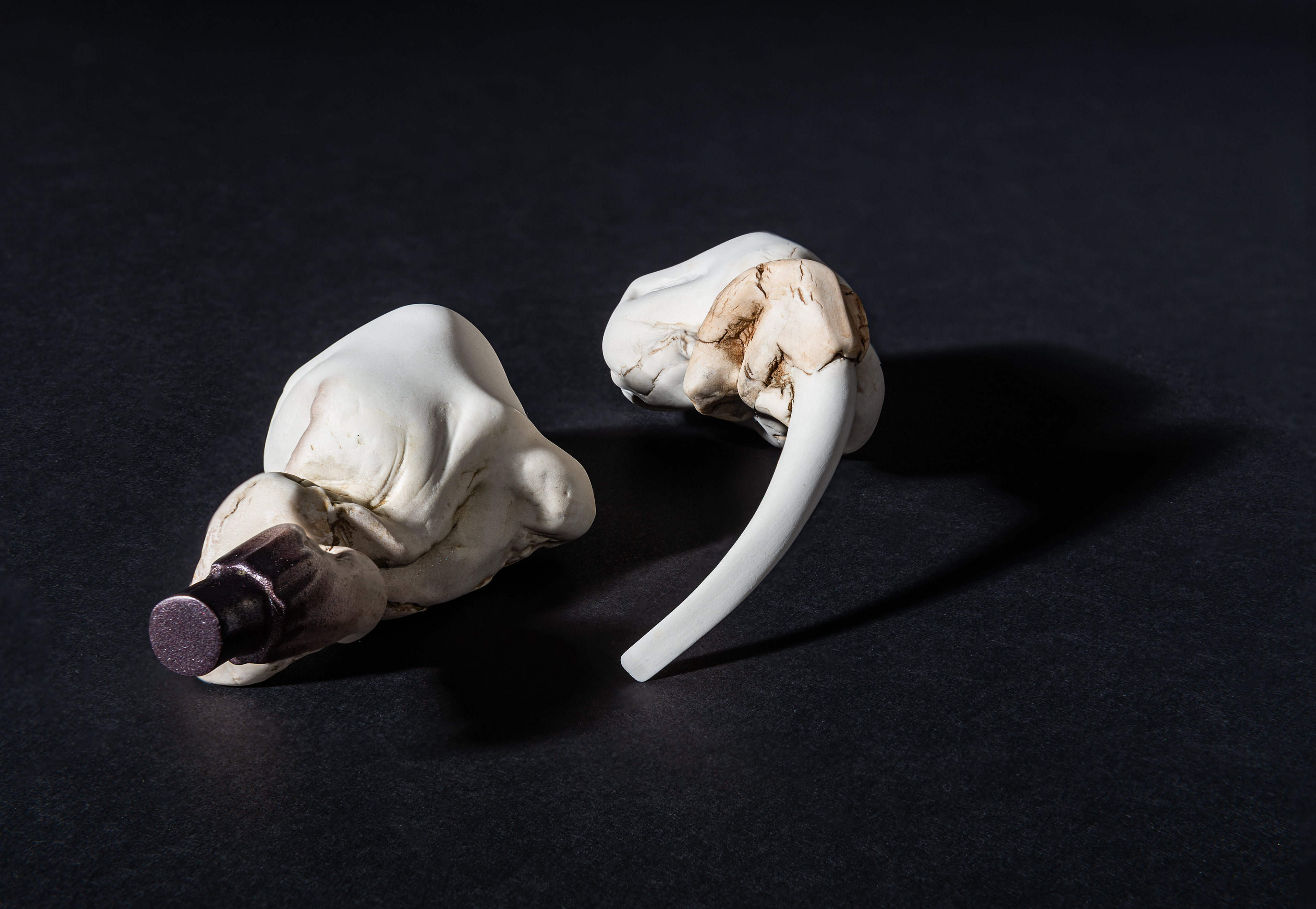 'I told you we had something in common' - detail - photo Eric Smeets