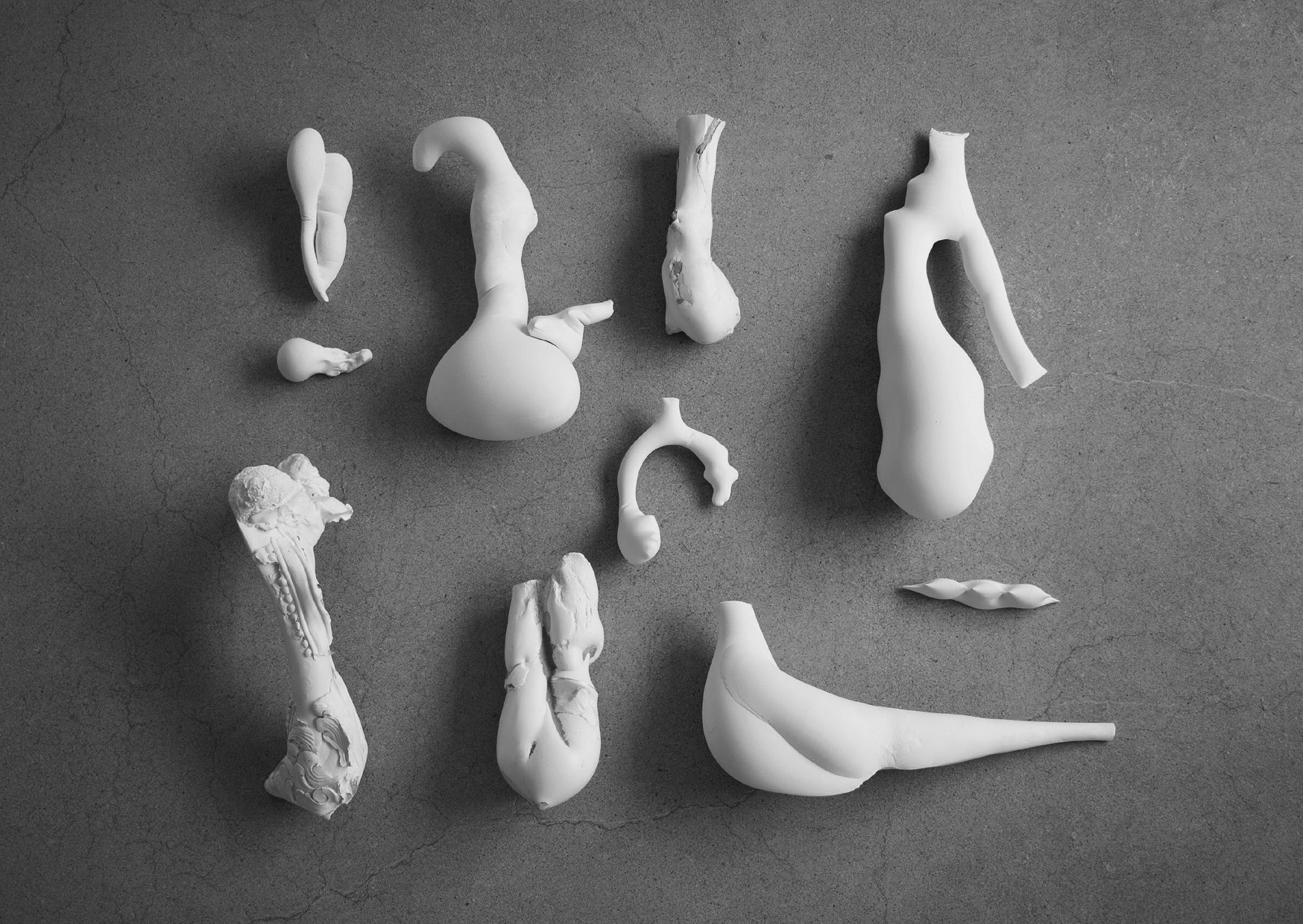 Compilation 'Birds of a feather flock together' - photo Eric Smeets