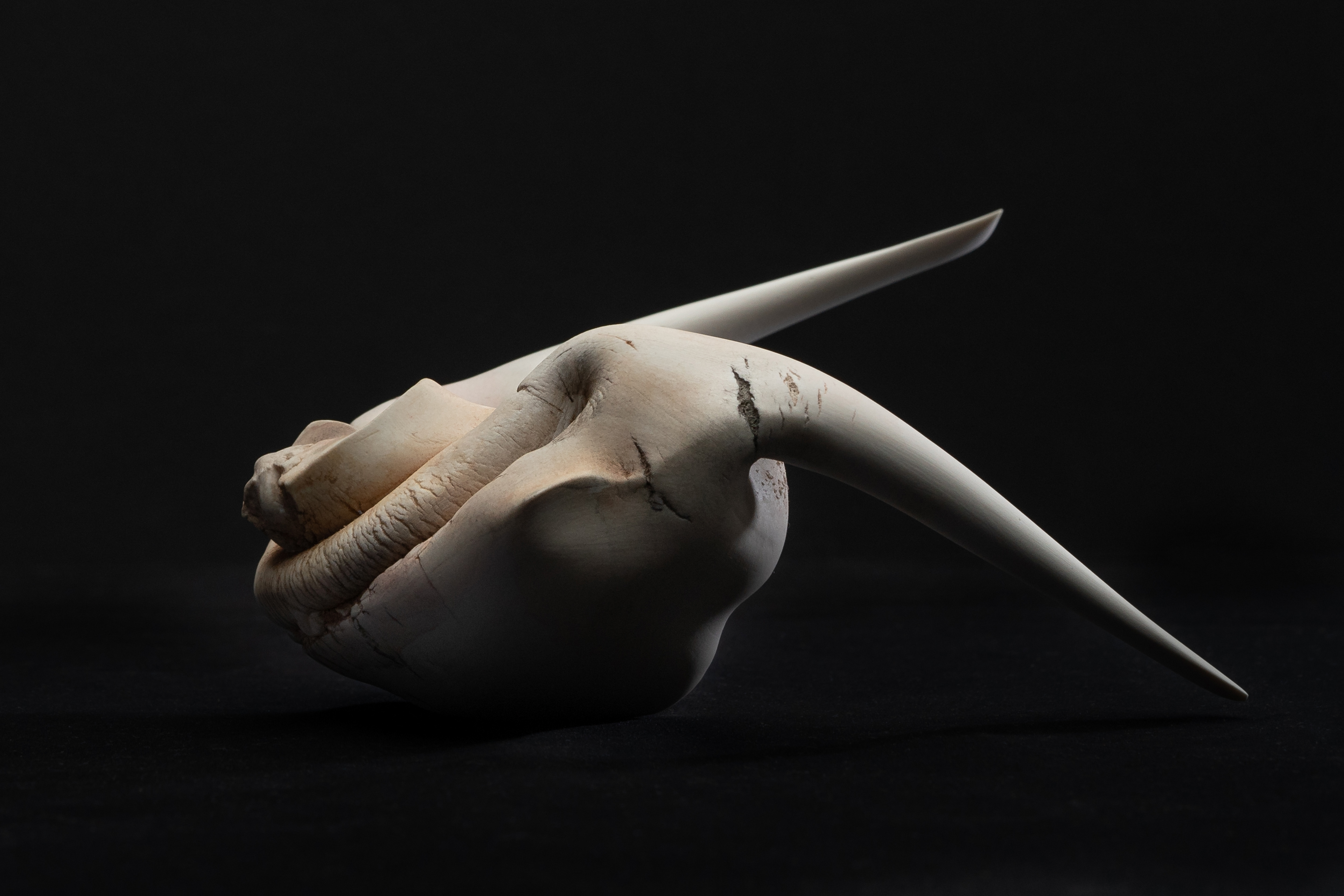 Where we are - 2019 -porcelain oxides - 11 x 16 x 12 - photo Peter Müllenberg