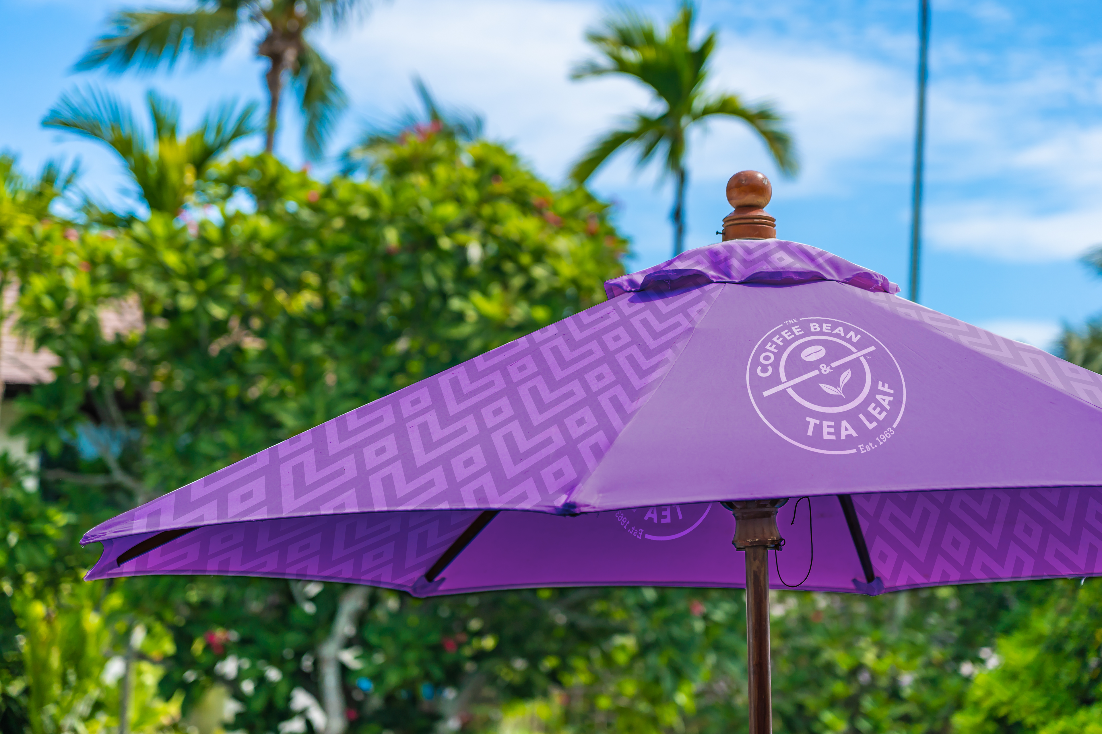Patio Umbrella