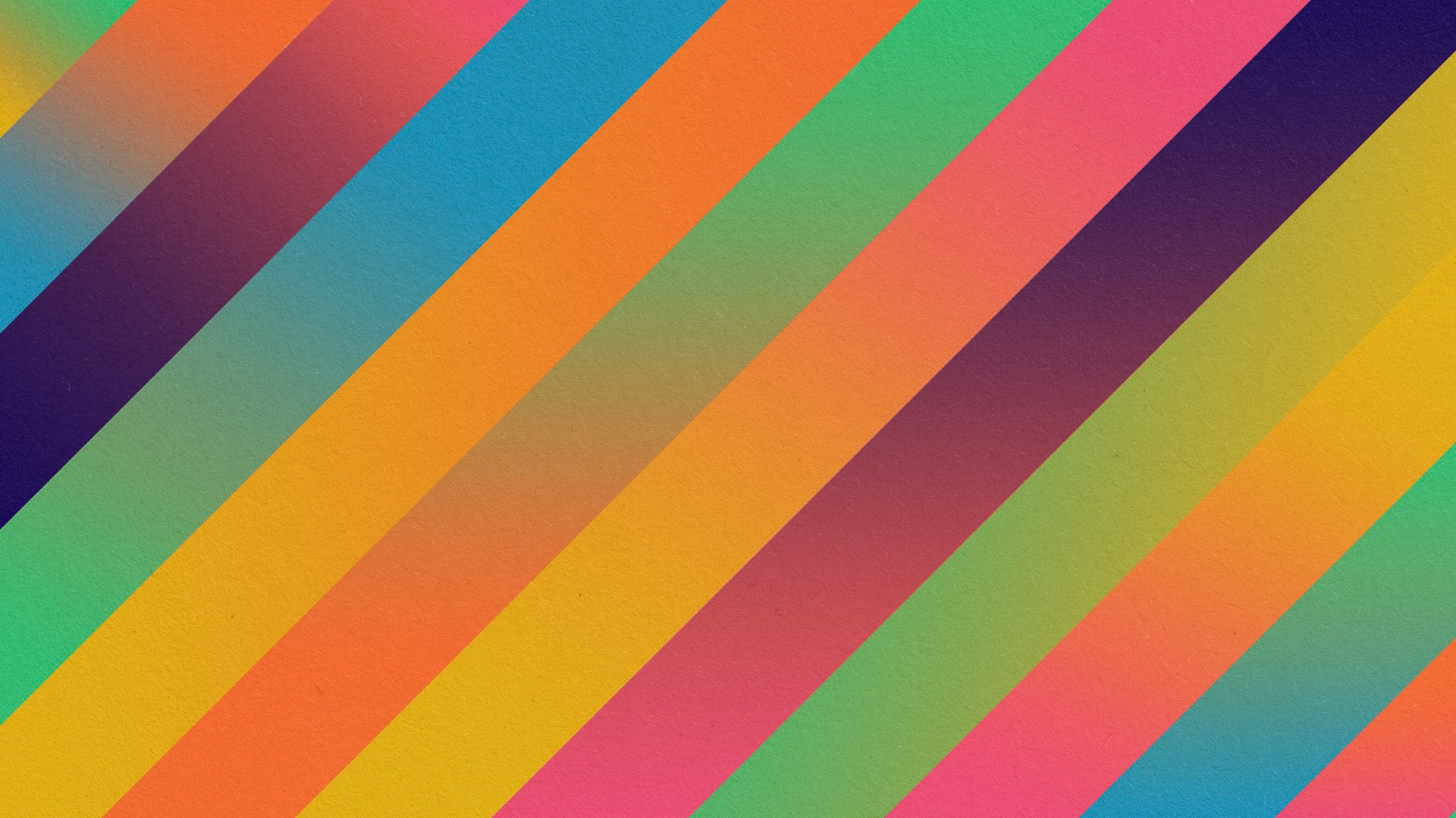 header searches for the agency new website / photoshop