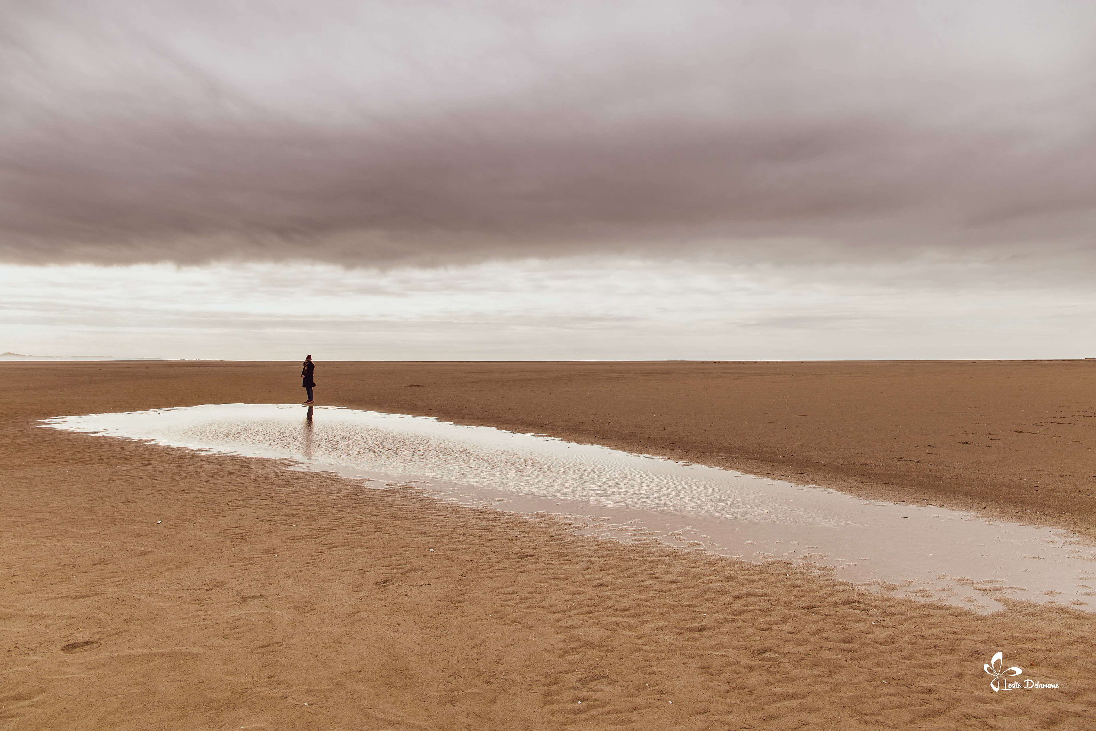 L'unique ! Baie de Somme.