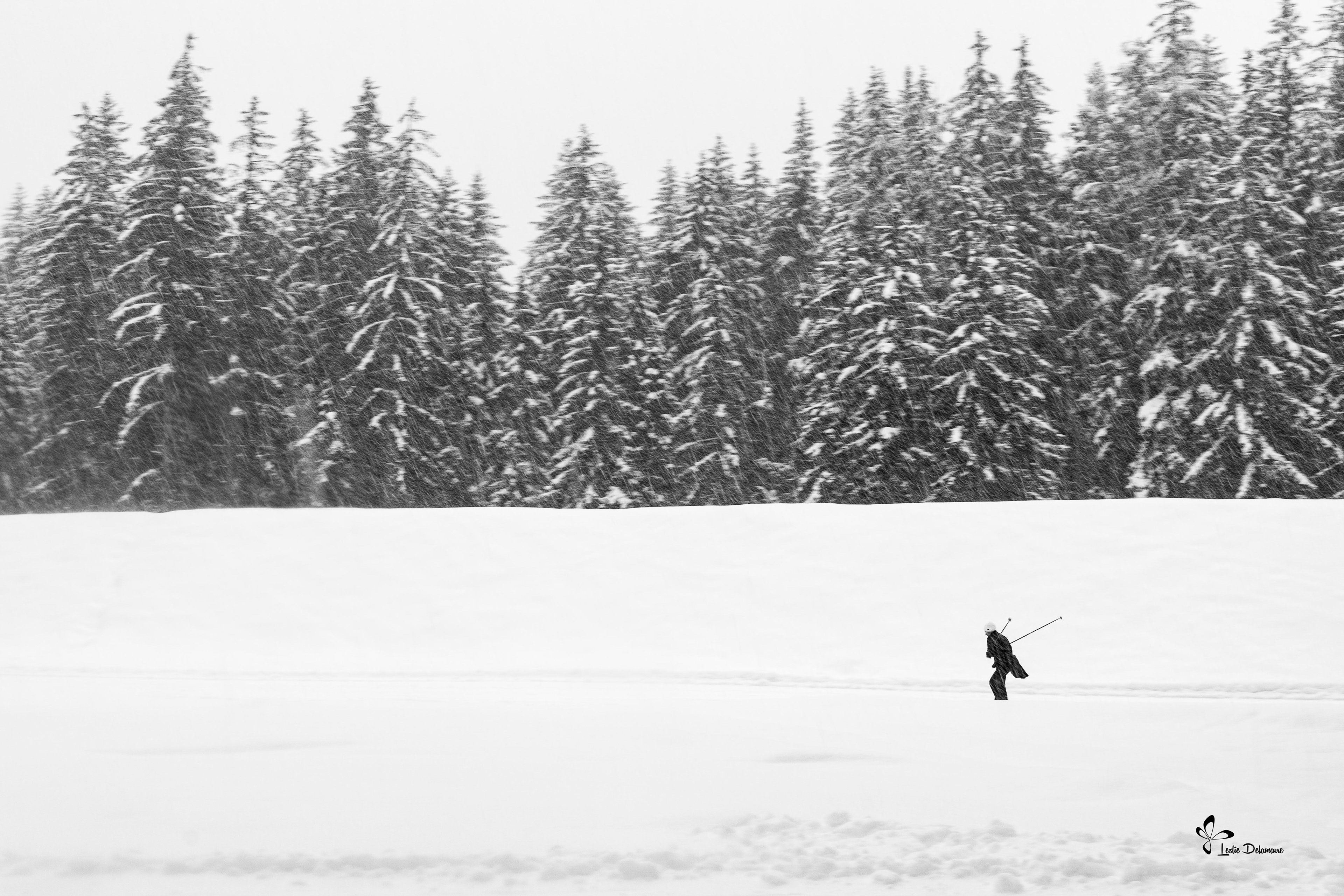 Skieur de fond. Chamonix