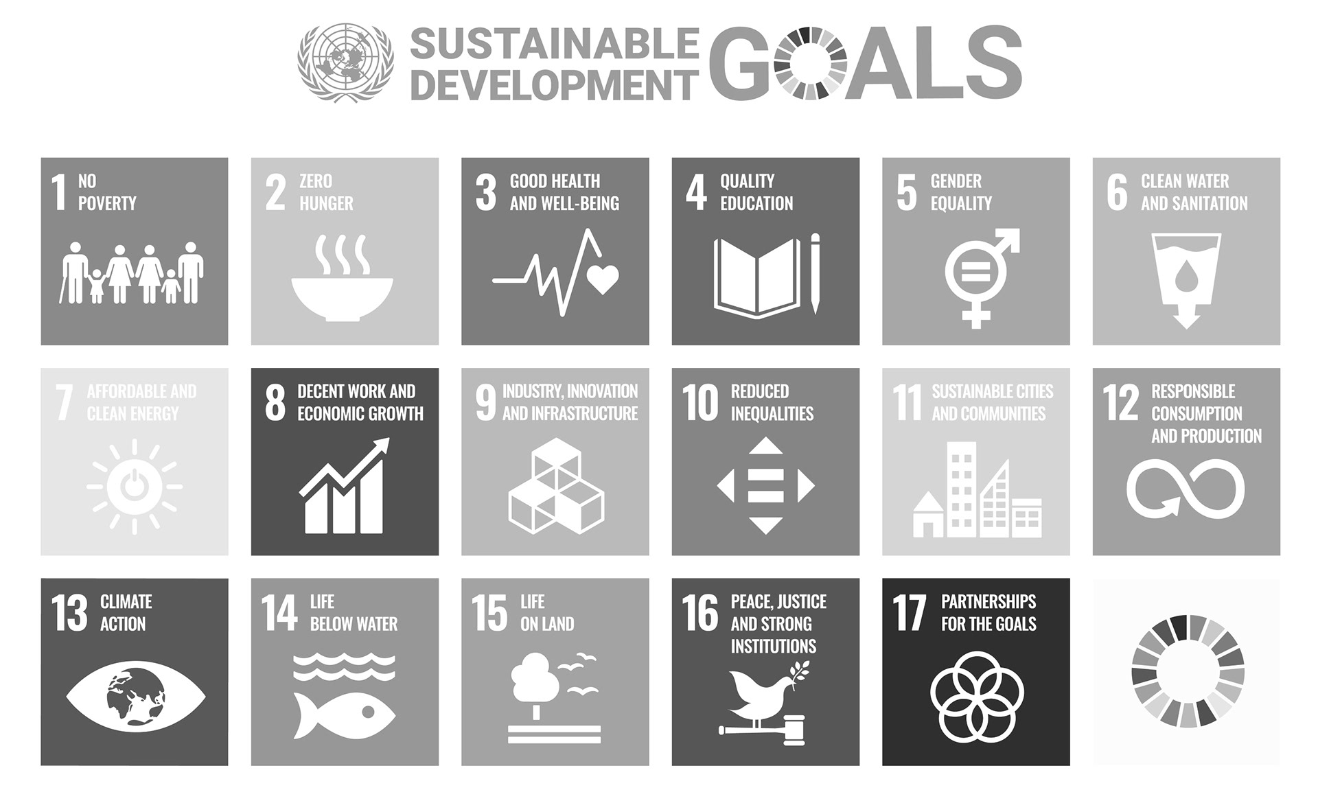 The Solutions had to tackle the Sustainable Development Goals (source: Wikipedia)