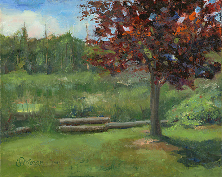 2021 - Matt's Yard (Plein Air) - Oil on Linen Panel - NFS