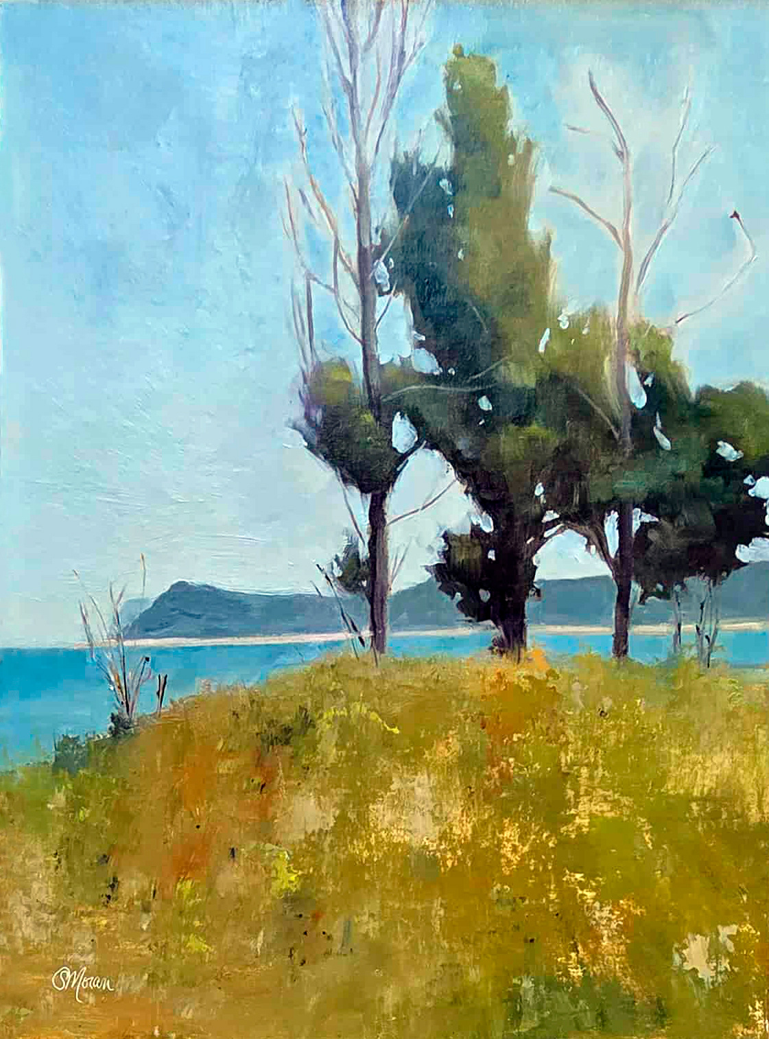 Sold - Honorable Mention, 2025 Glen Arbor Paint Out Quick Draw-Behind the Trees 9x12 Oil on Linen Panel