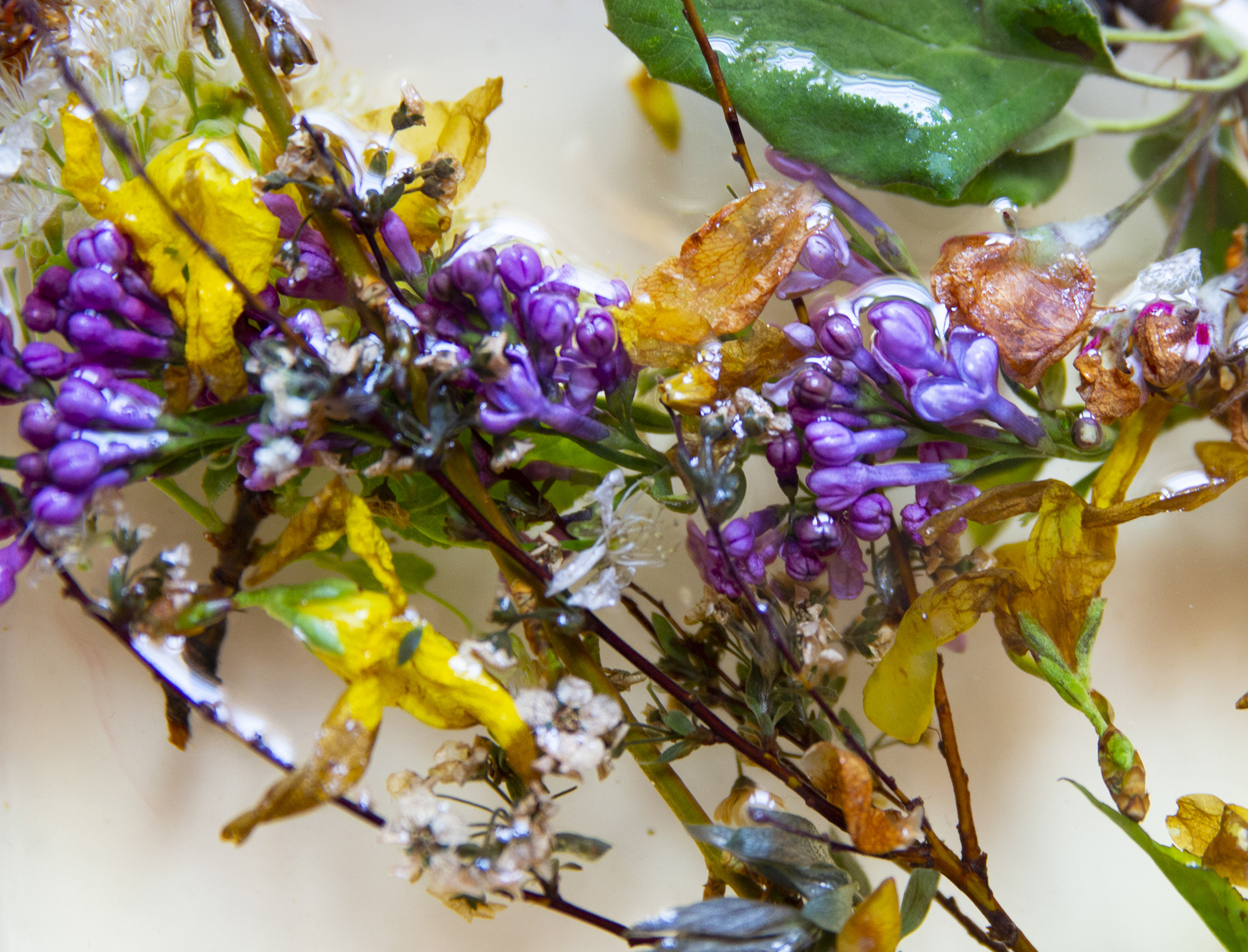 Flower treatment