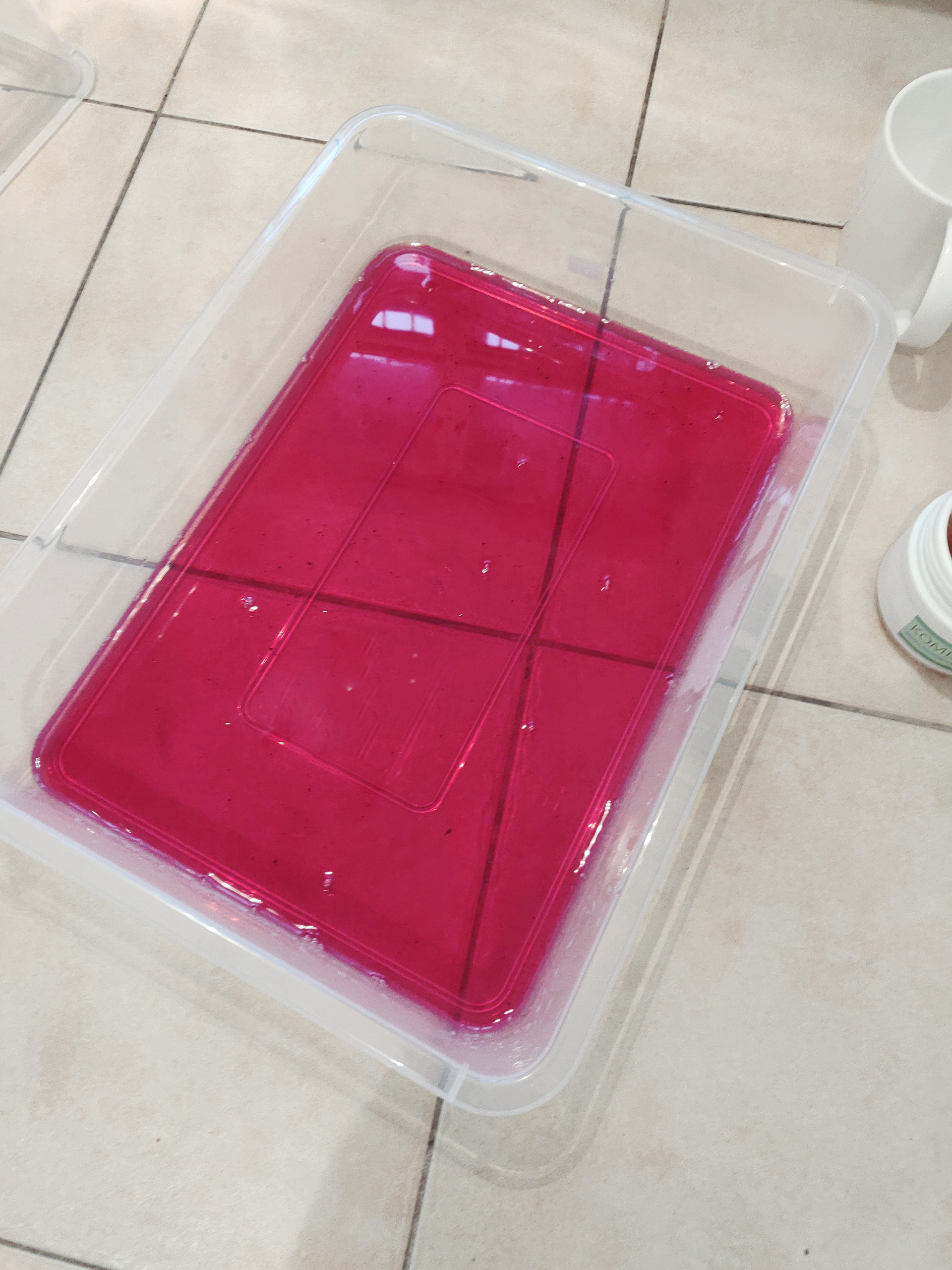 Dyeing with red cabbage