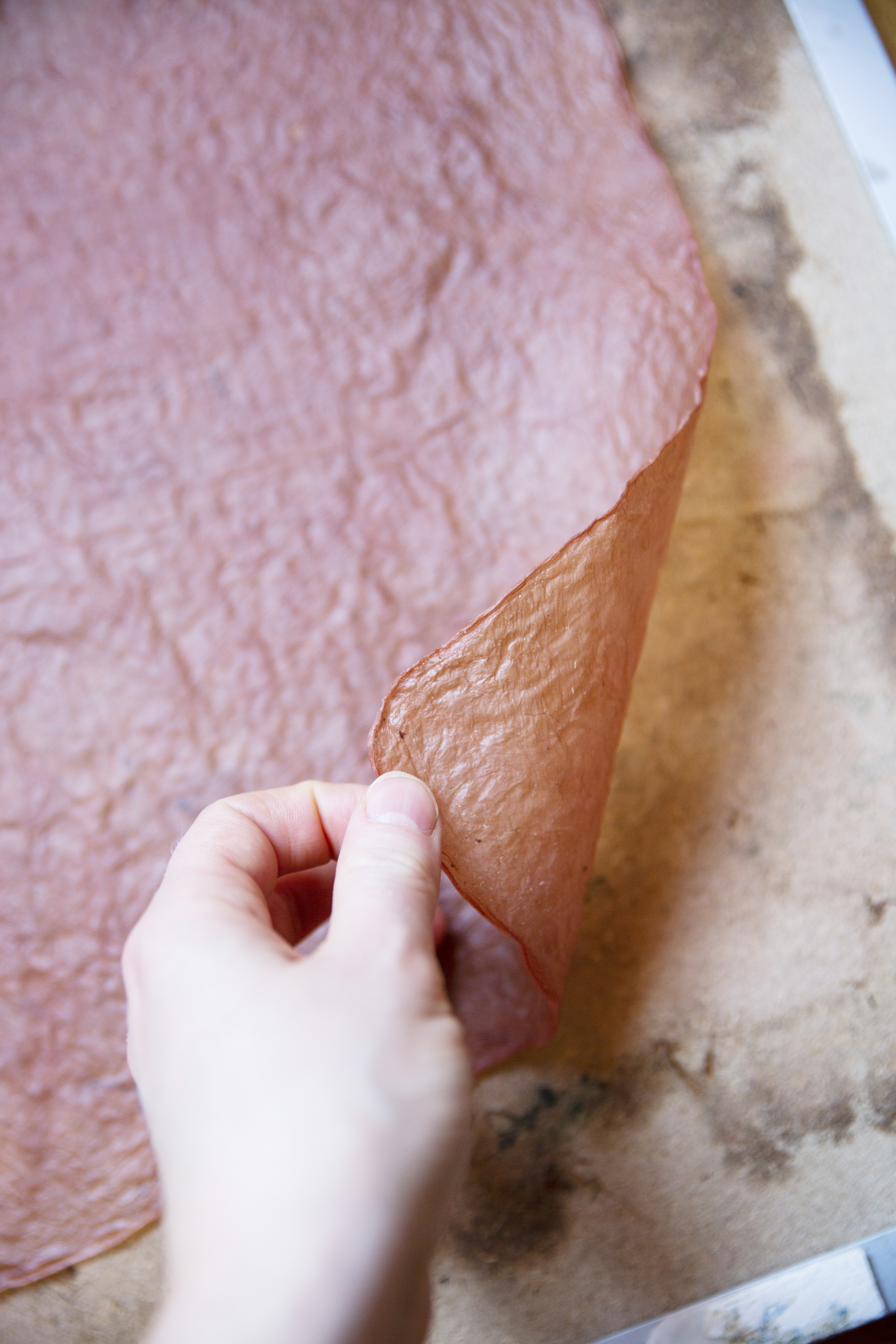 Dried cellulose