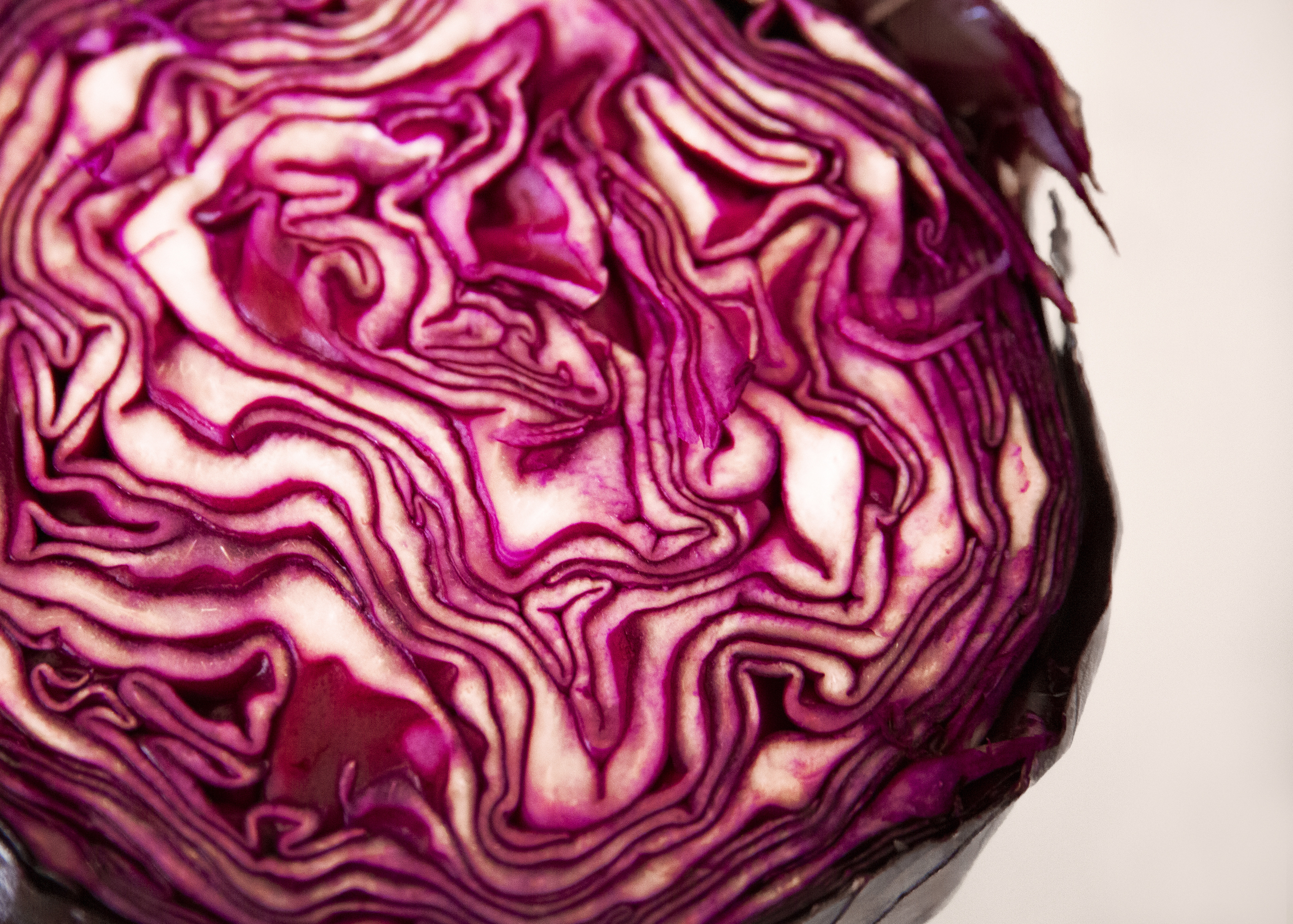 Red cabbage