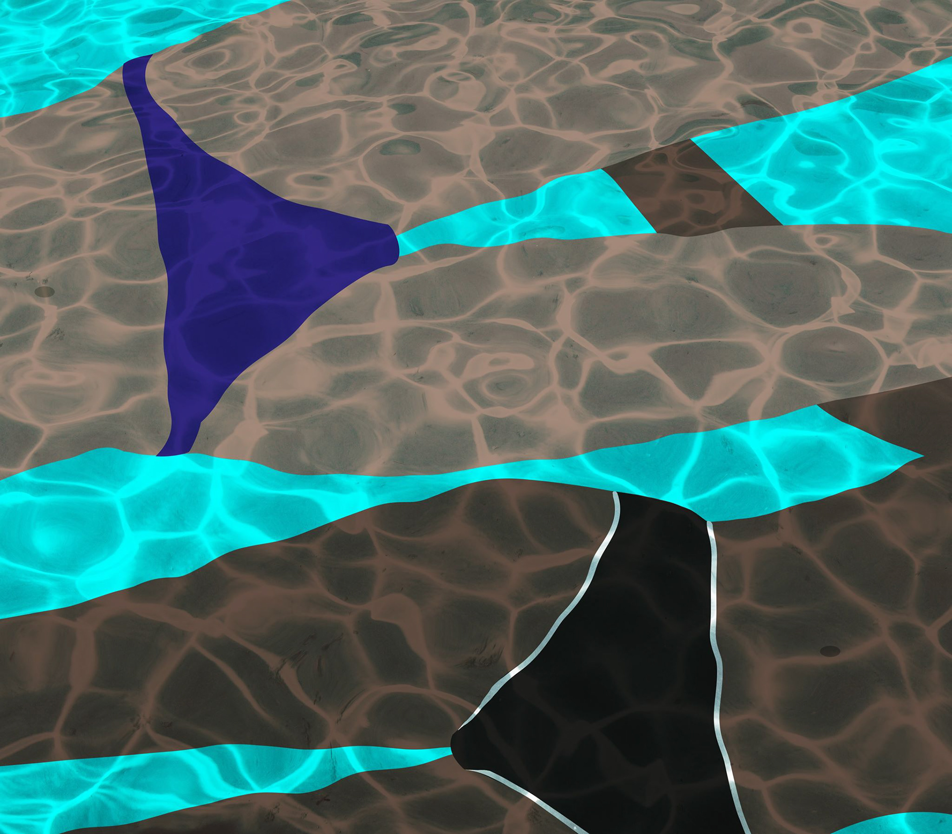 Swim