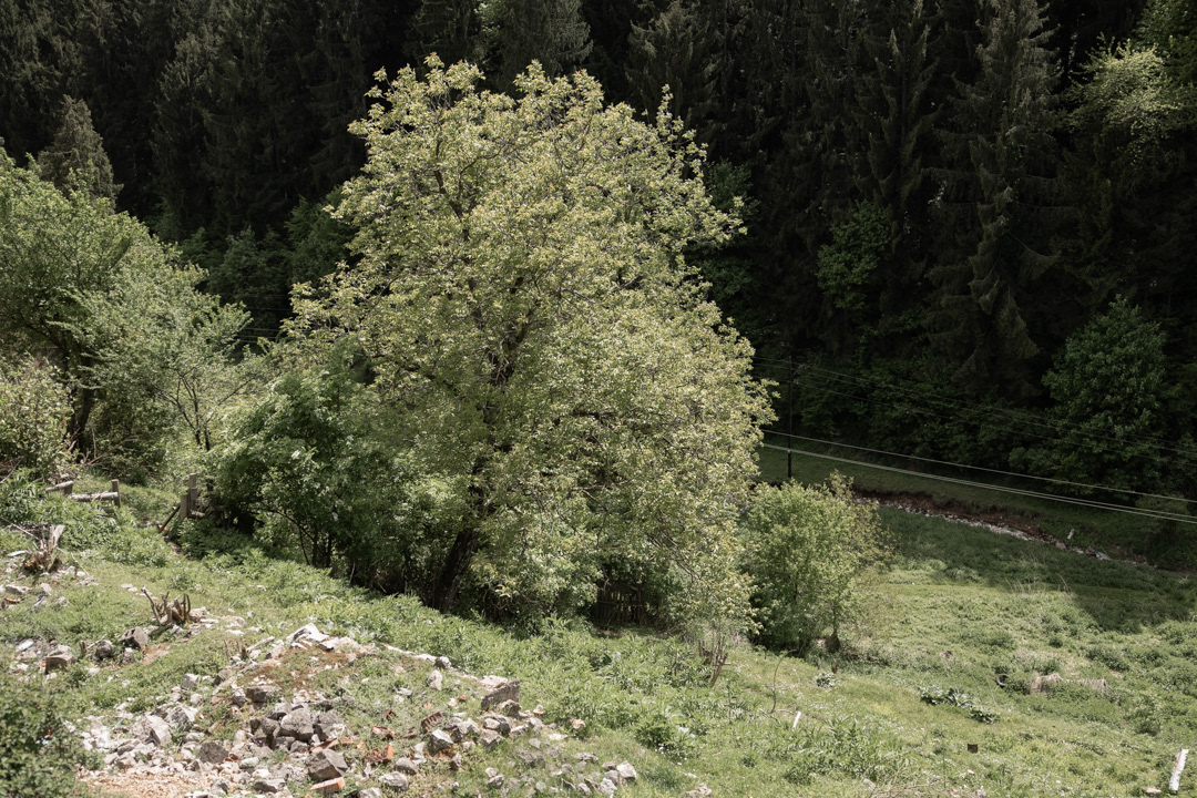 Grandma's House  in Vlasenica /  the river Sušica