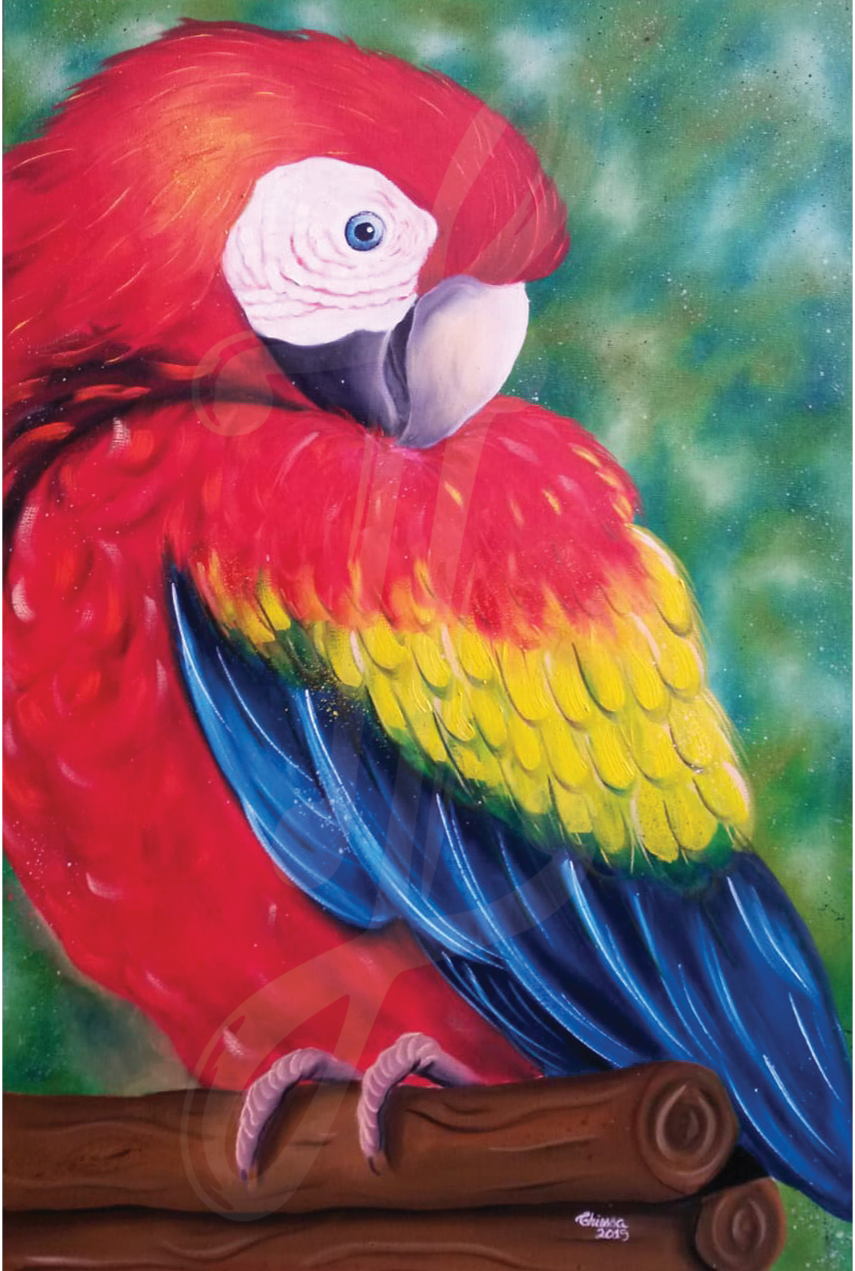 Arara