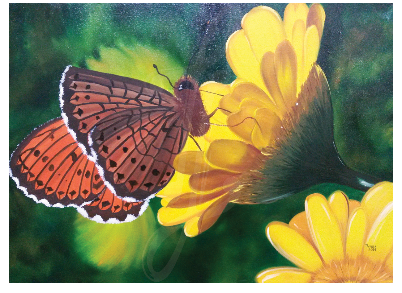 Borboleta