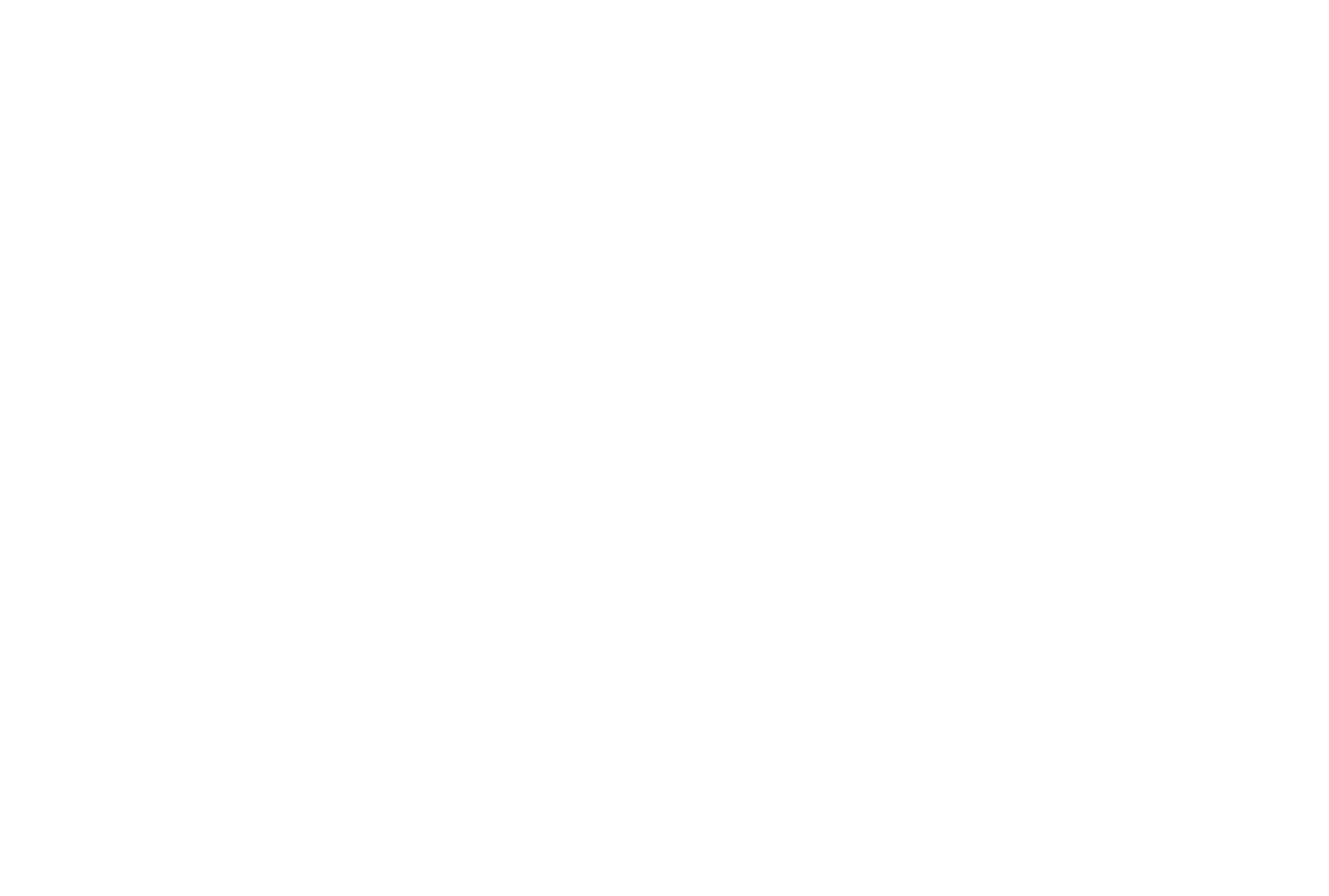 xavier steyaert