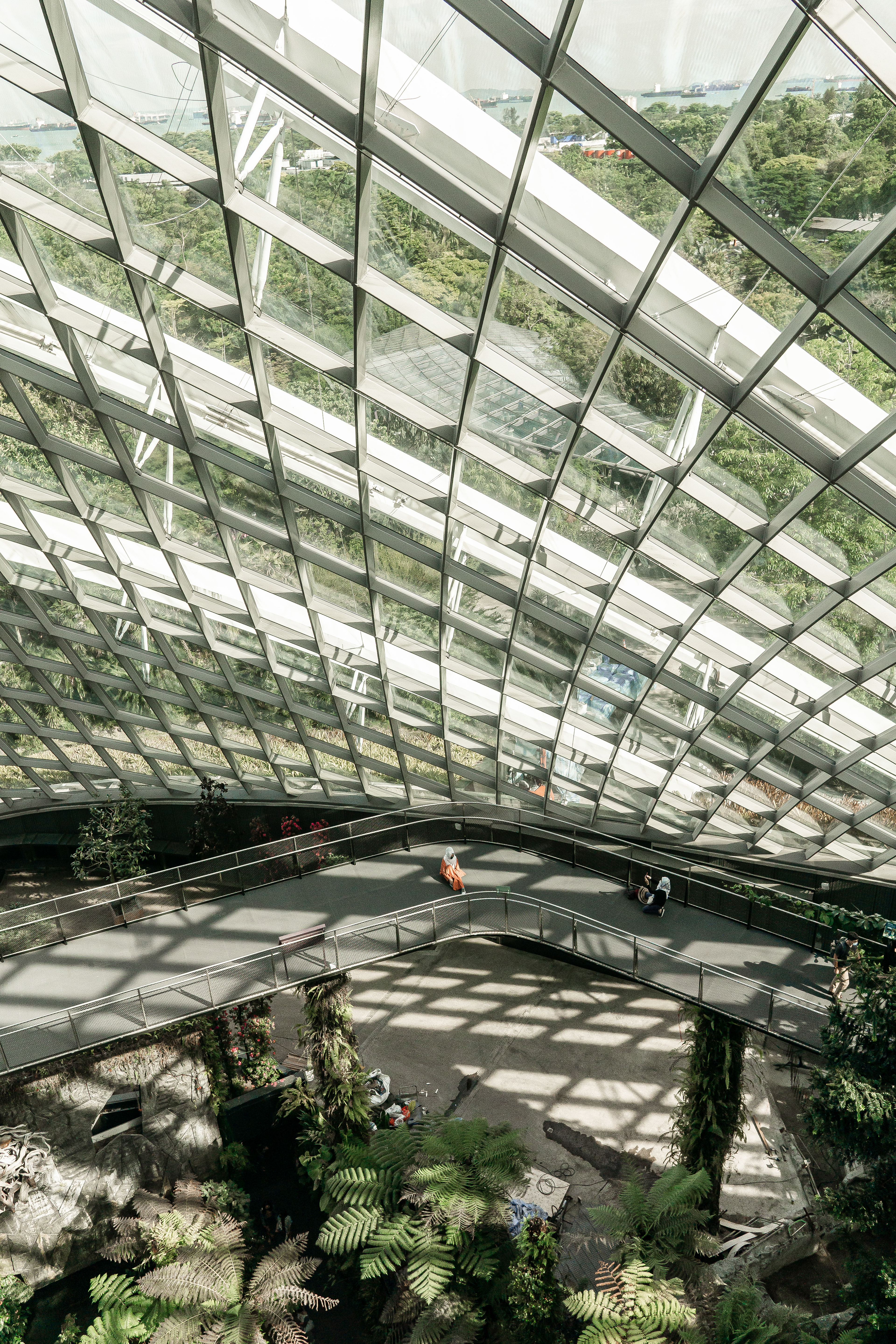 CLOUD FOREST, GARDENS BY THE BAY