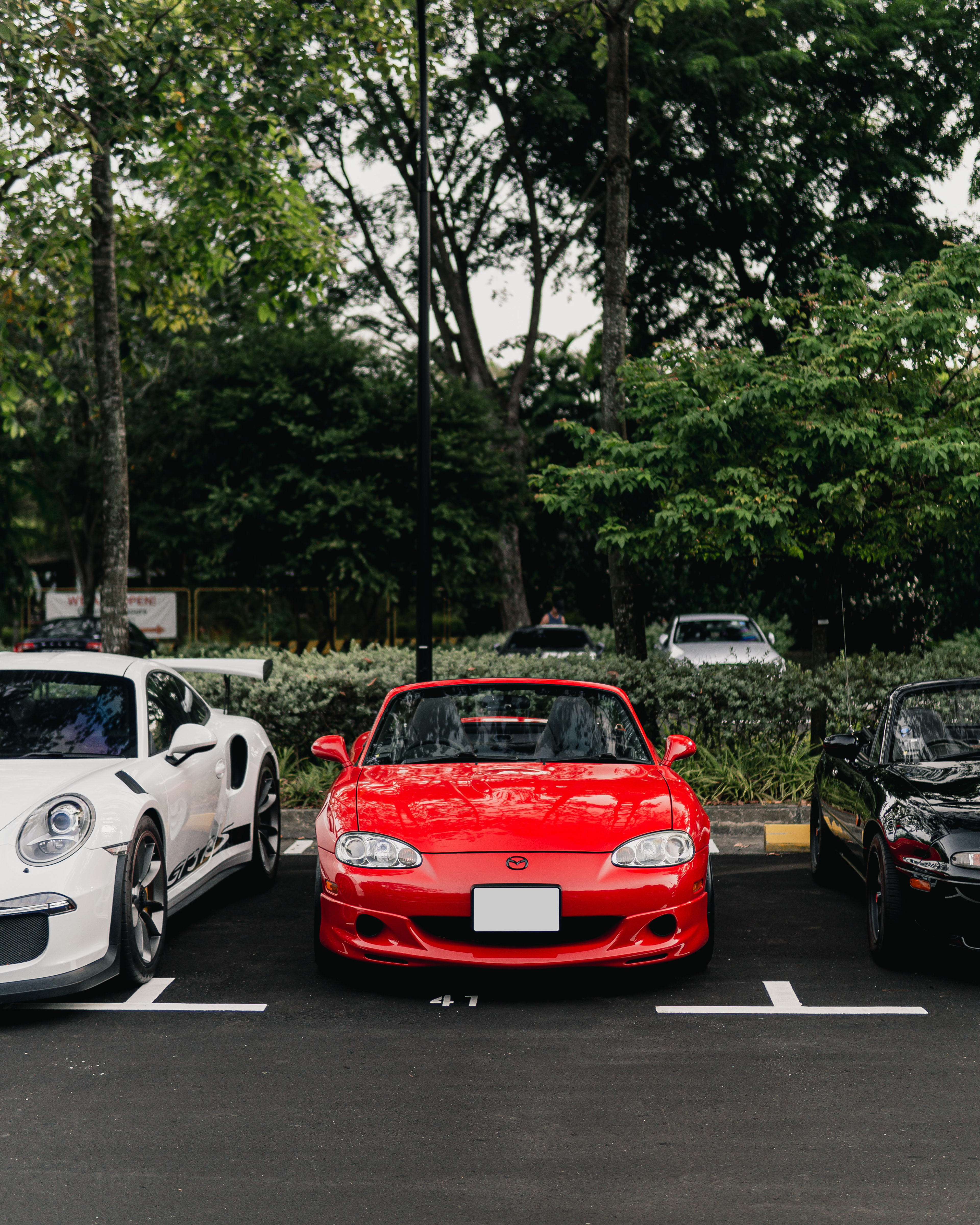 MAZDA MX-5