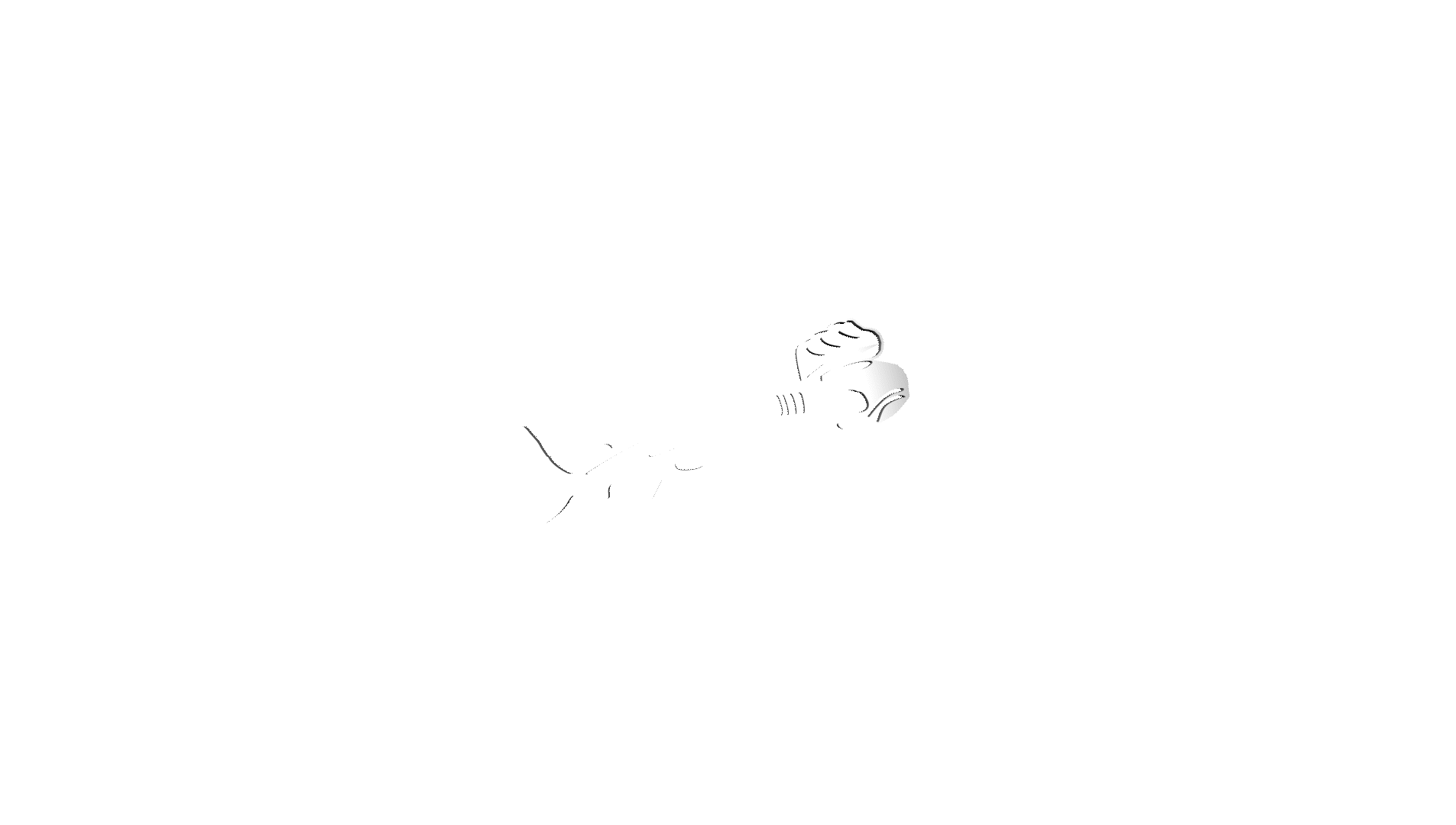 bonnetheadcollective.com