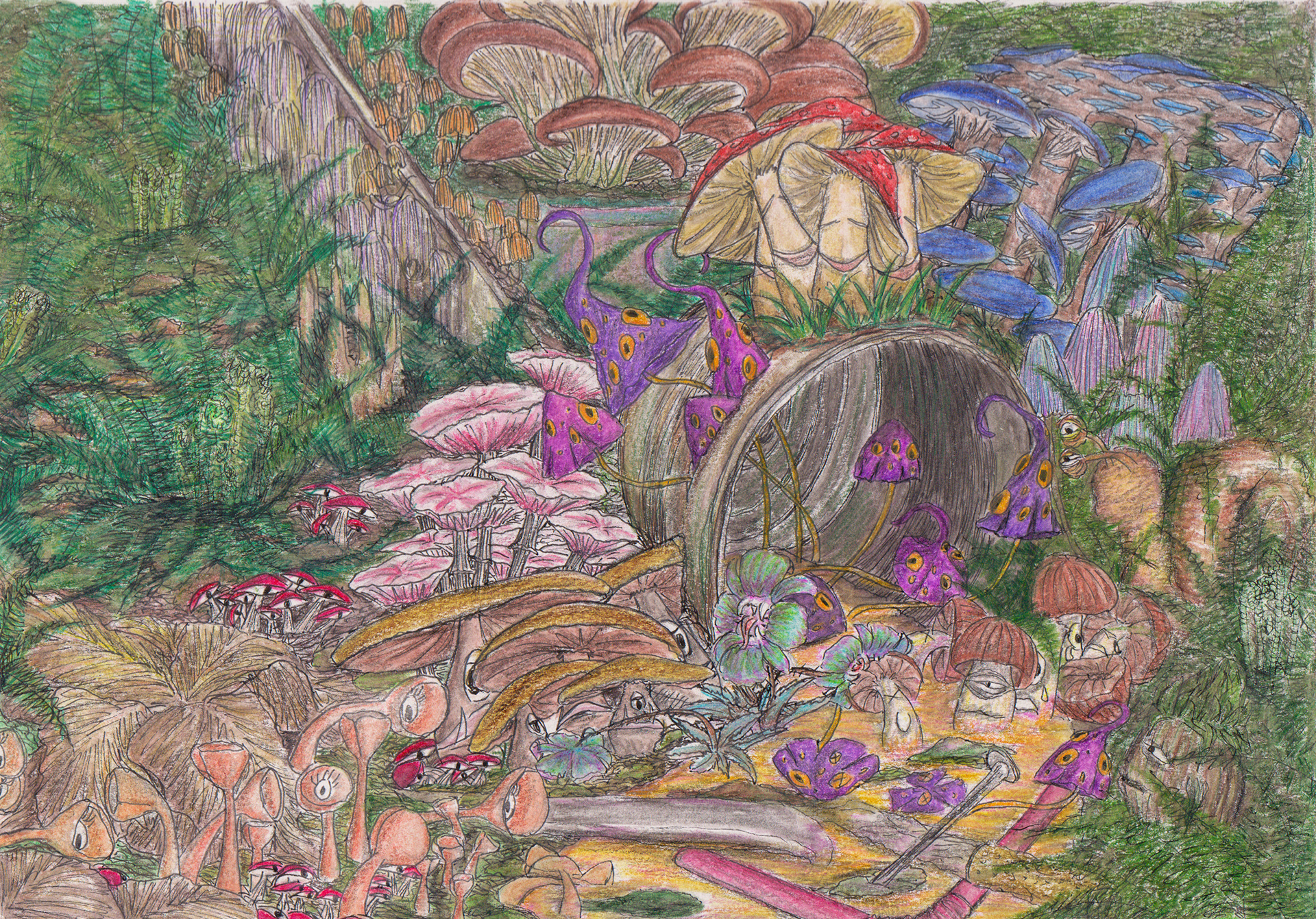 Going with the flow, every Jack has his Jill. Continuing with pollution, flora must adapt themselves to new surroundings. It’s a national selection: those individuals with heritable traits better suited to the environment will survive.