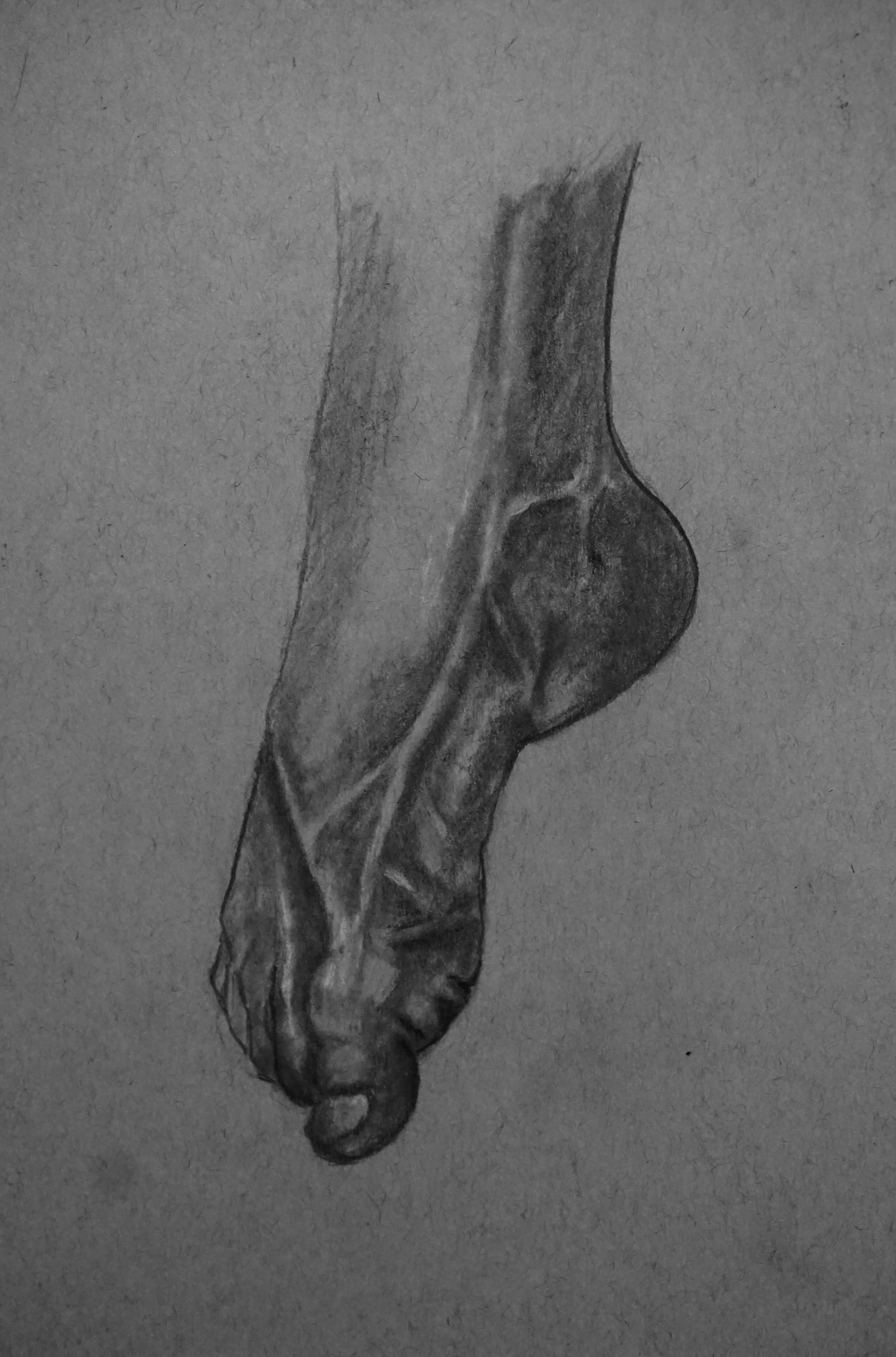 Feet Study (2021) Charcoal on Toned Paper 