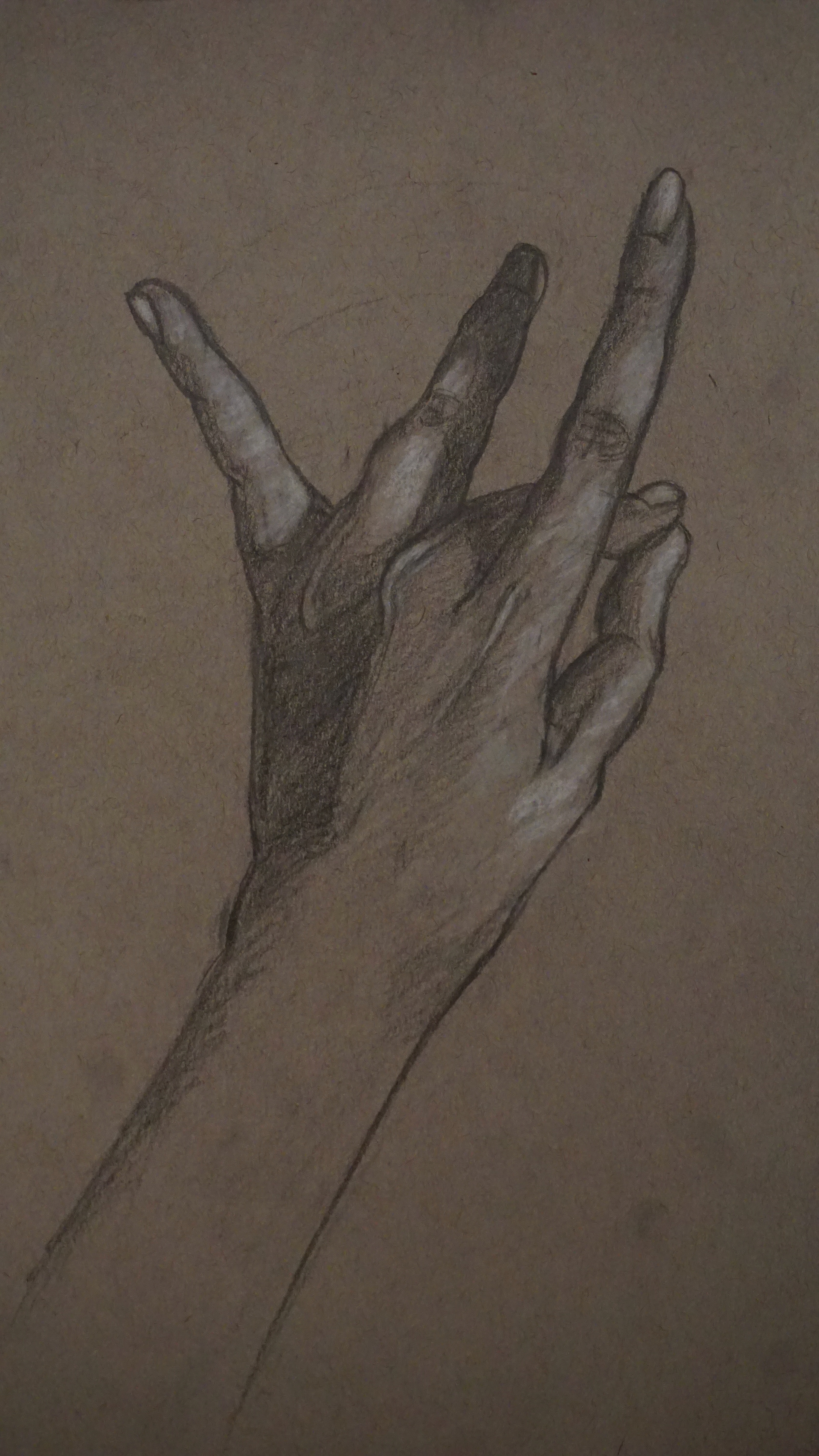 Left Hand Study (2021) Charcoal on Toned Paper