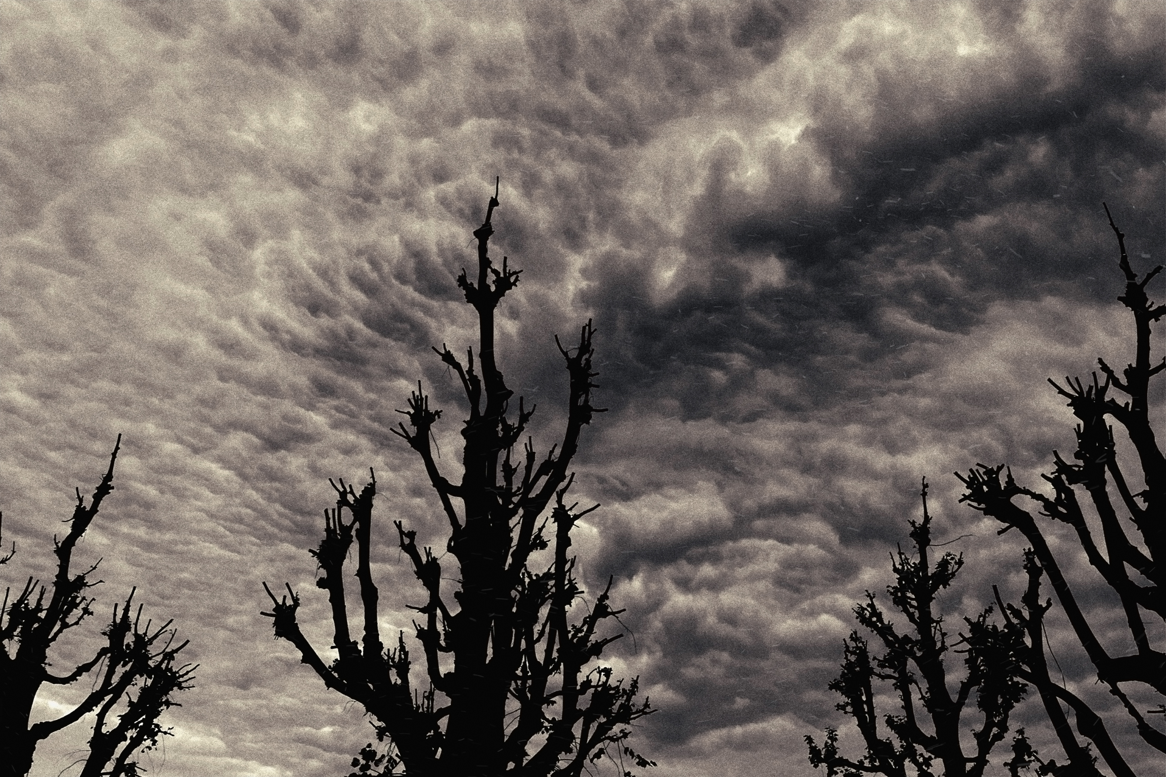 "All Nightmare Long"