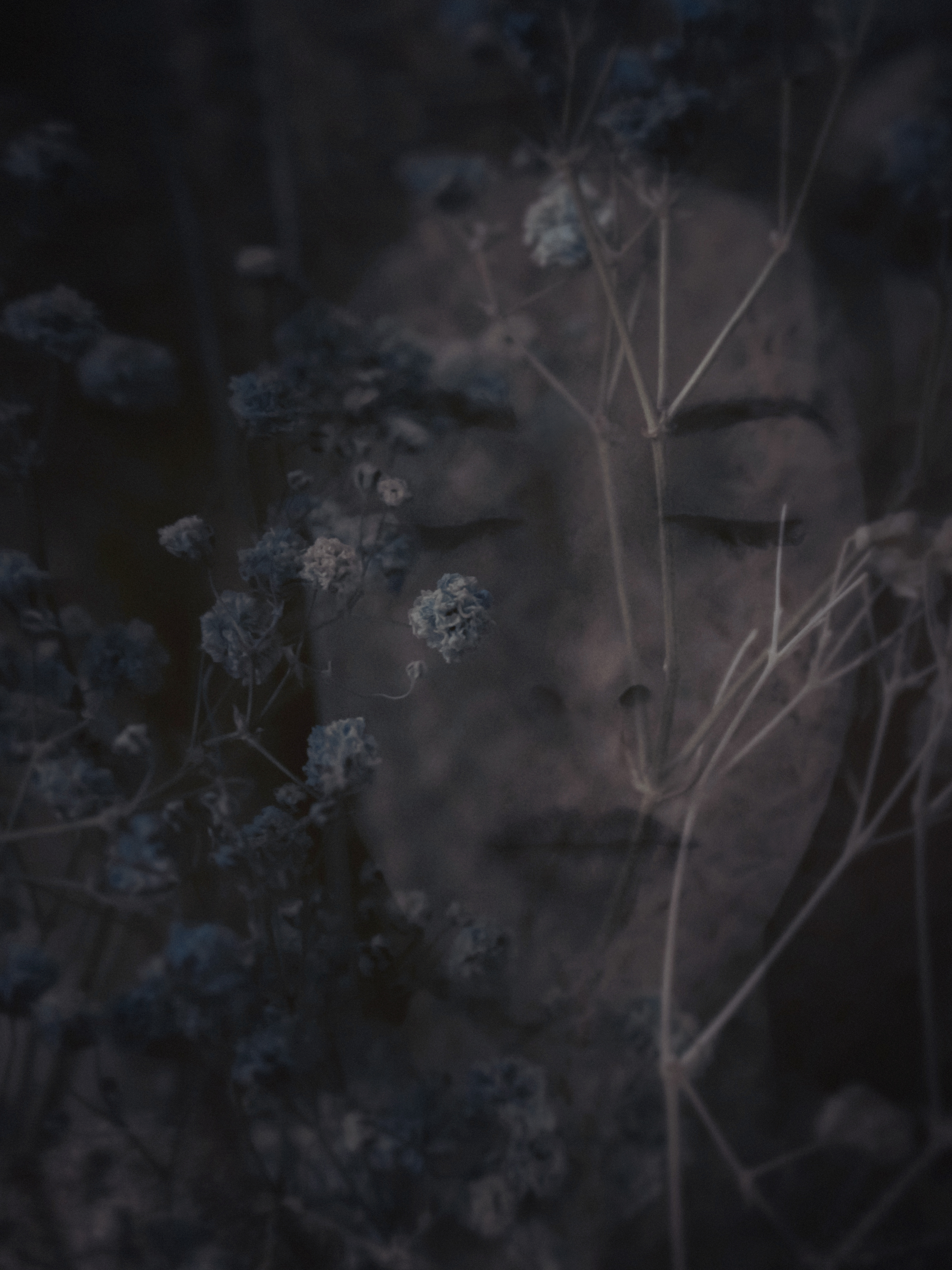 "Withered and Forgotten"