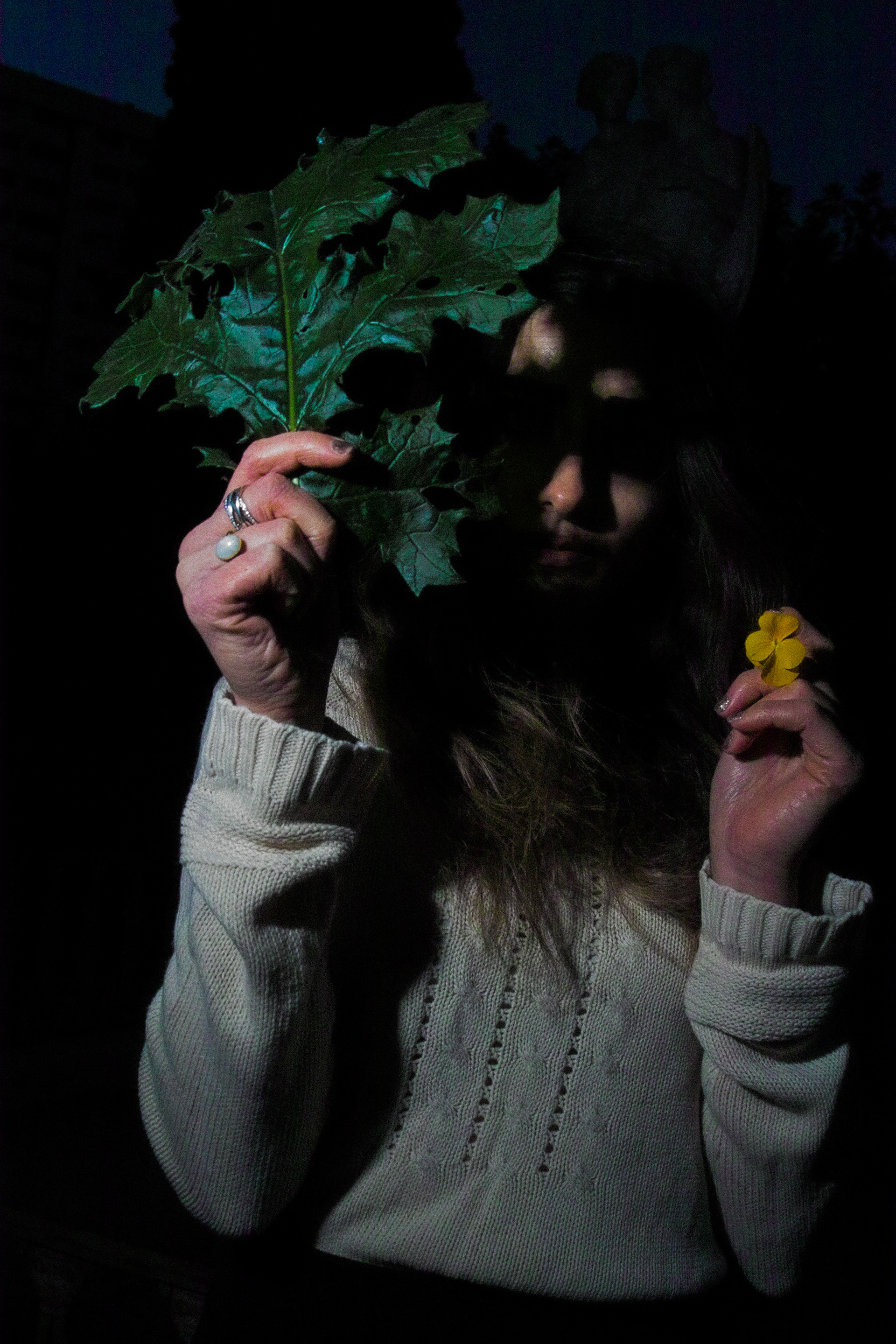 Skaja Lee La pérdida de sombra la historia de sombra