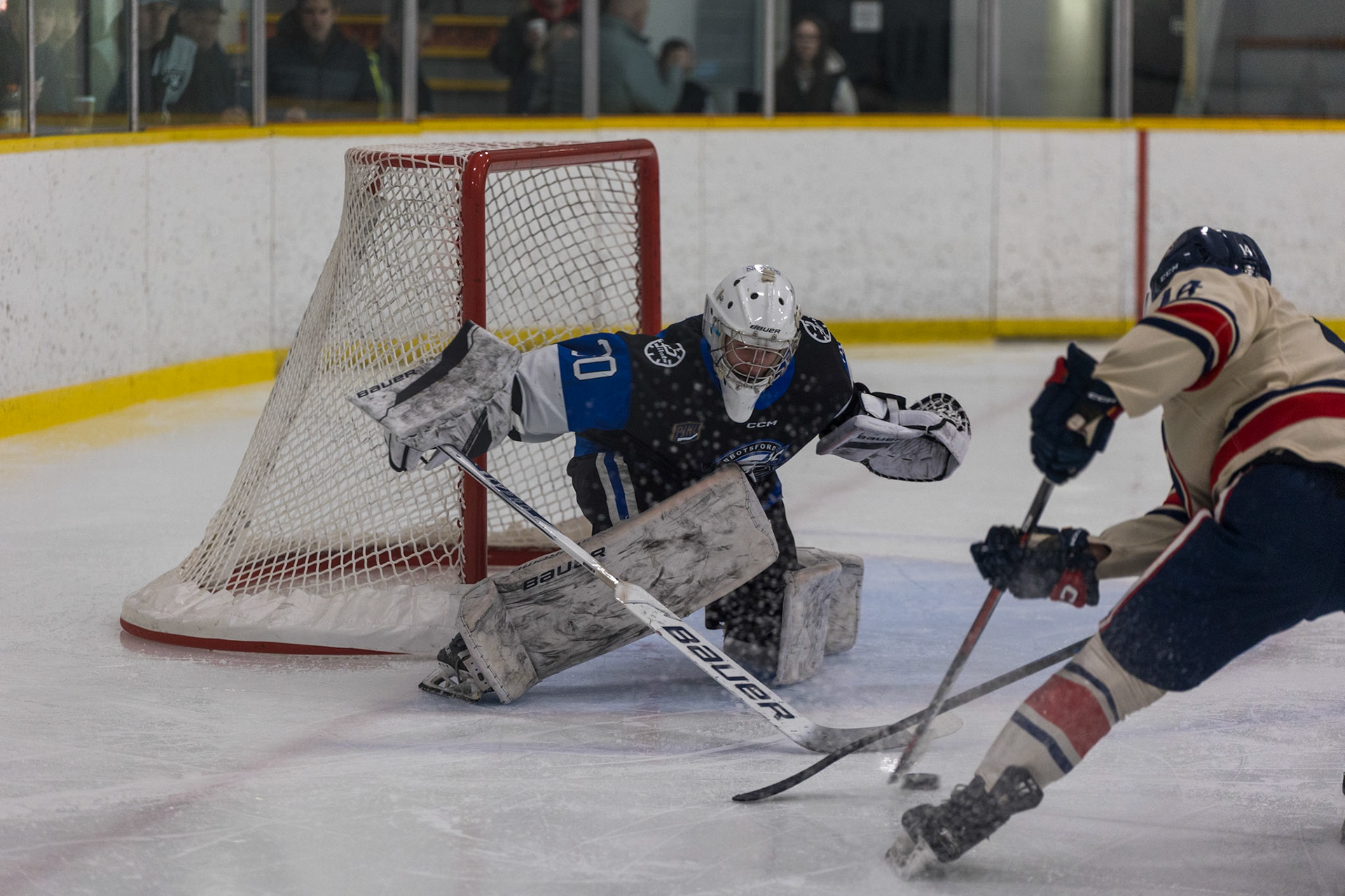 Poke Check in coming