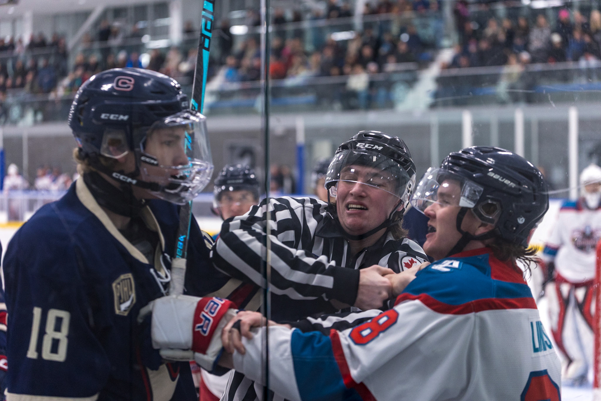 Winter Showcase, 2025