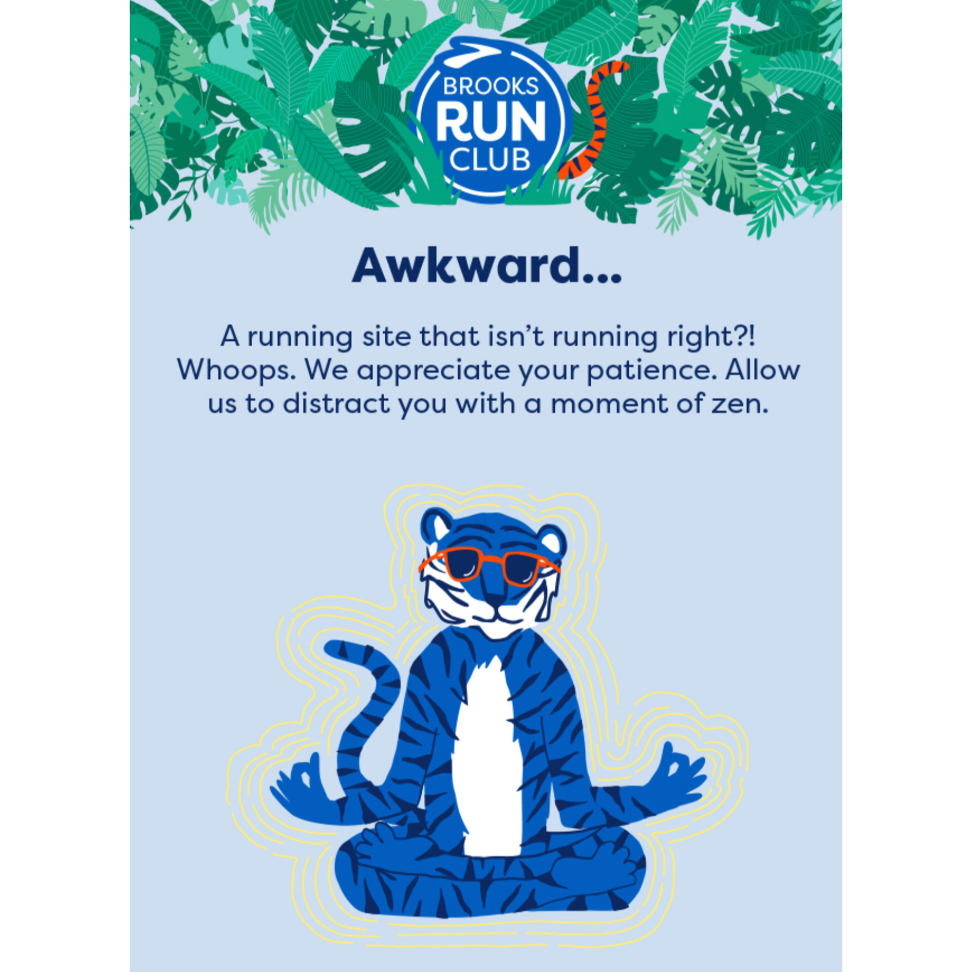 Brooks Run Club x Tiger Tail