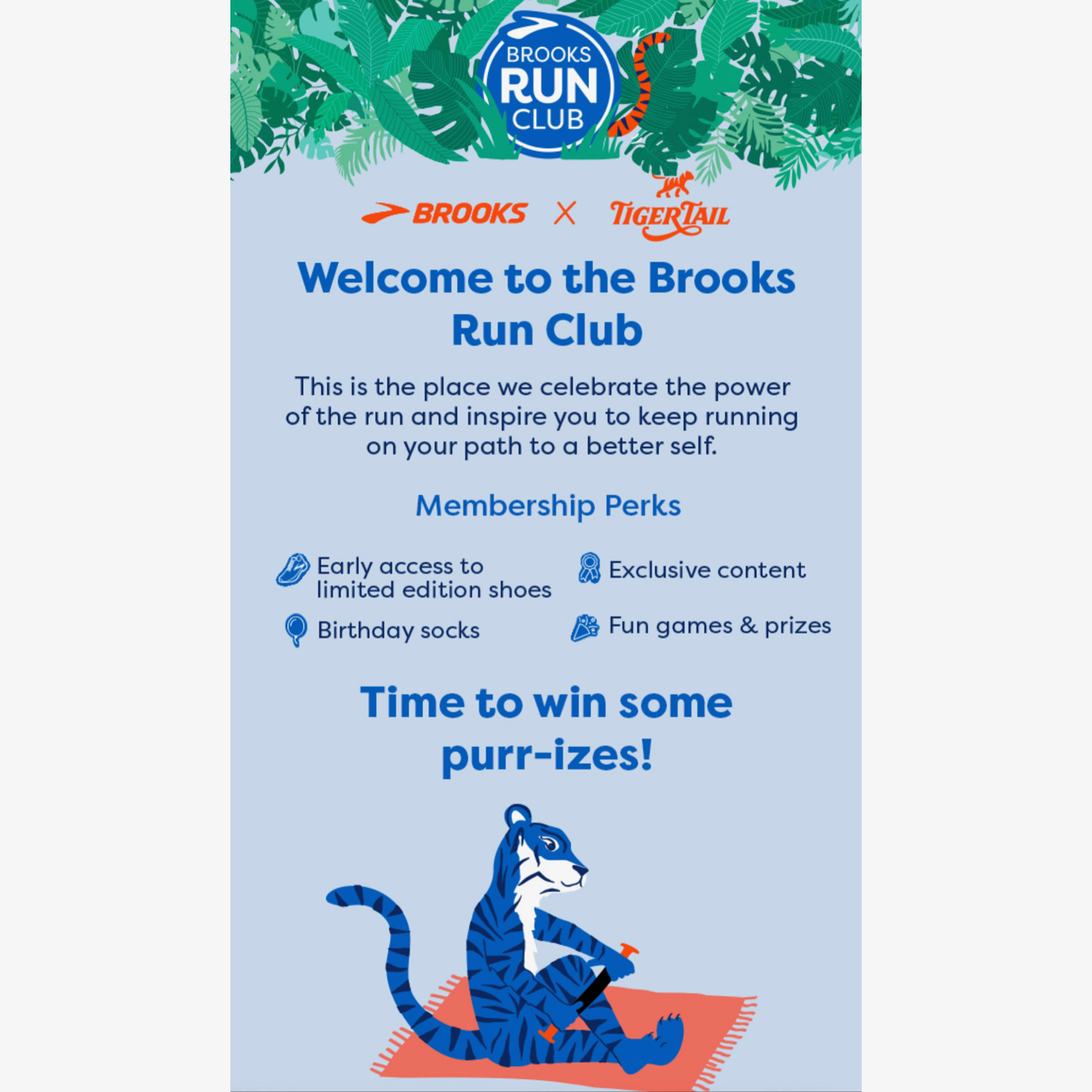 Brooks Run Club x Tiger Tail
