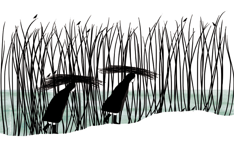 Peregrinas © Carolina Romano