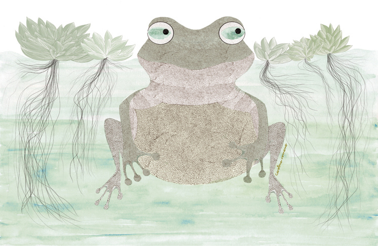 Nenúfares © Carolina Romano