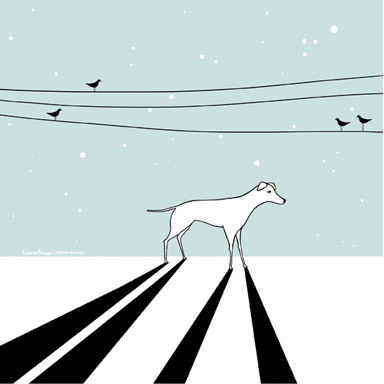 Vagabundo © Carolina Romano