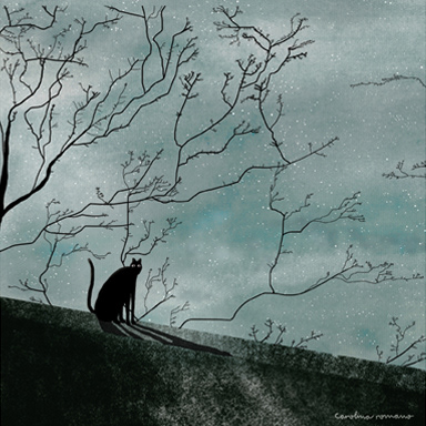 Ojos de gatito © Carolina Romano