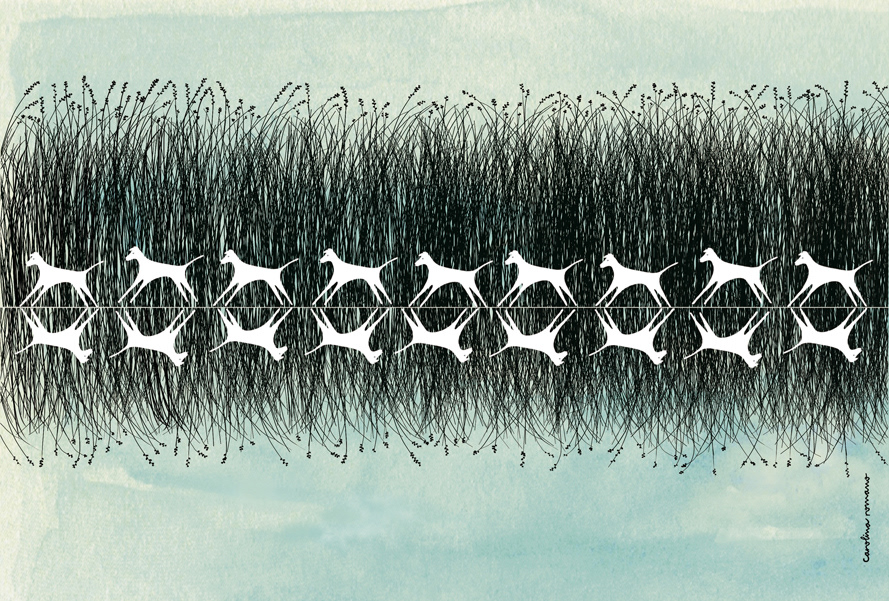 Umas © Carolina Romano