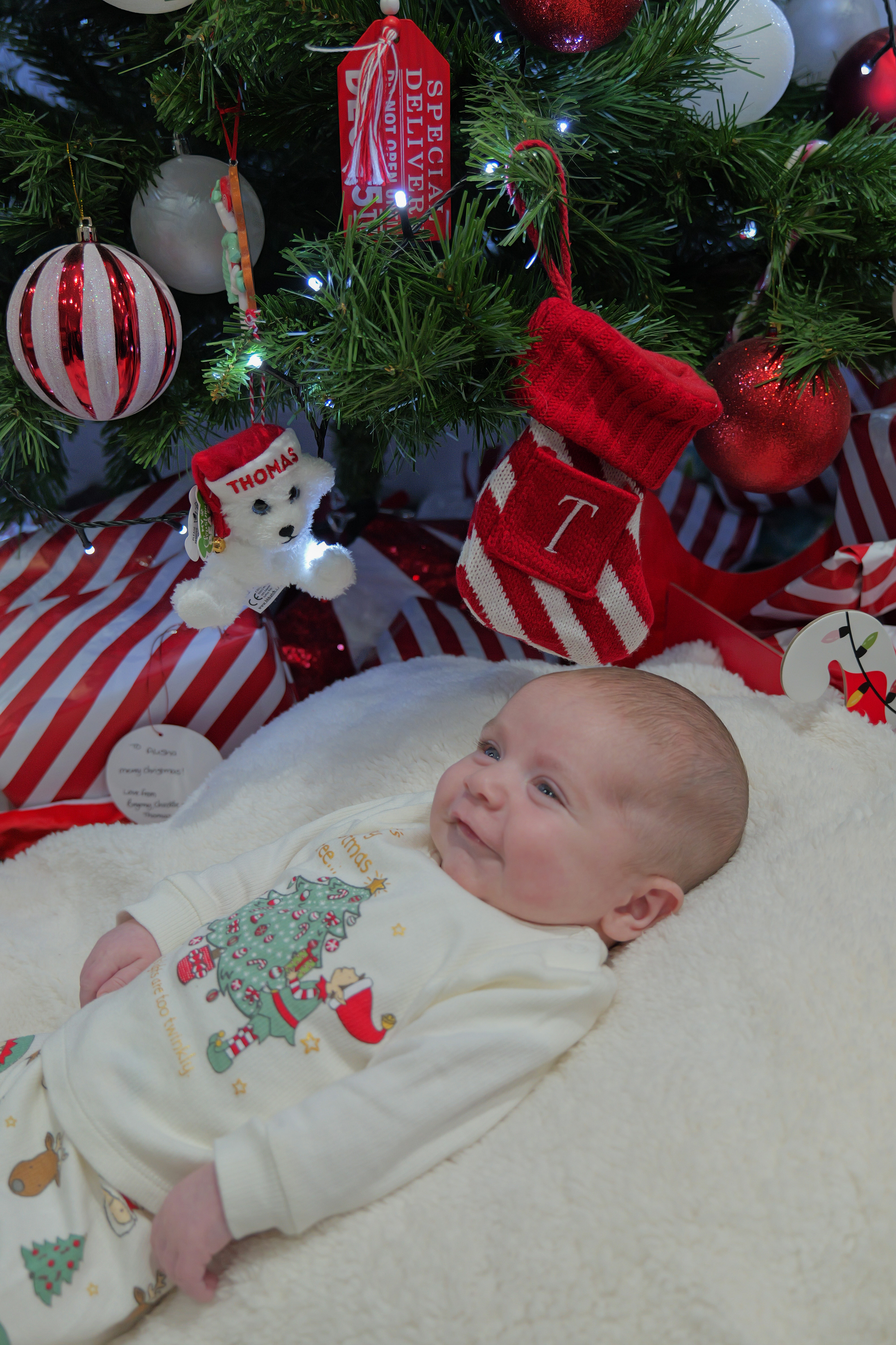 Family Christmas Photos