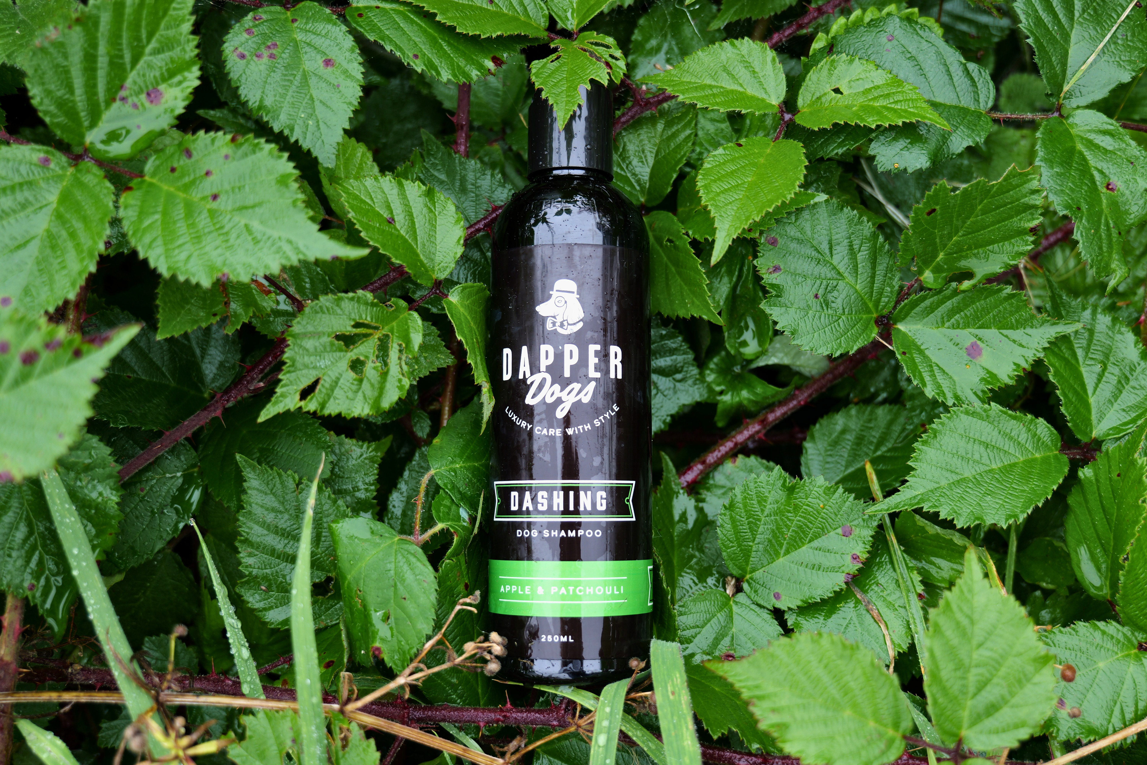 Dapper Dogs Product Photography