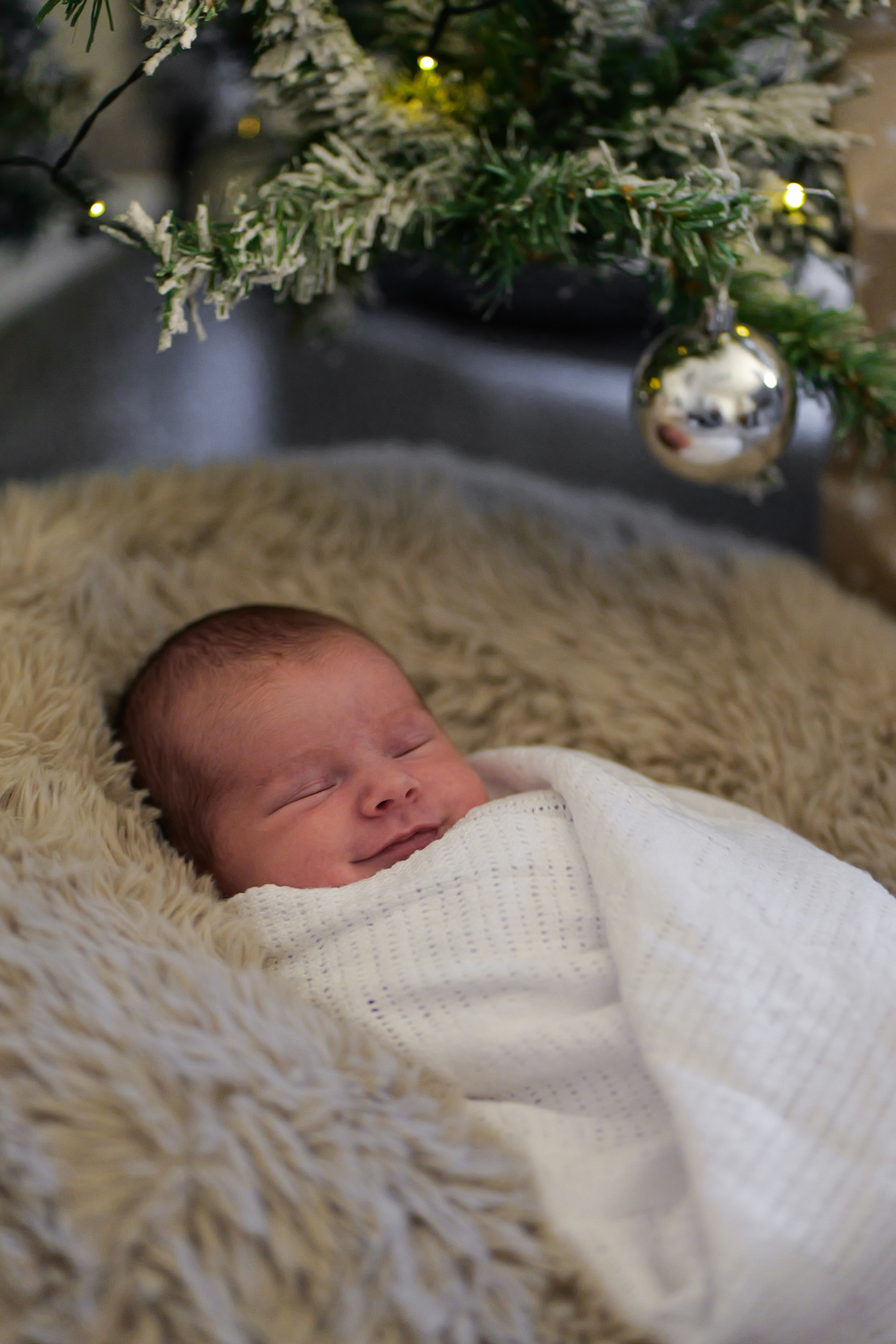 Newborn Christmas Photos