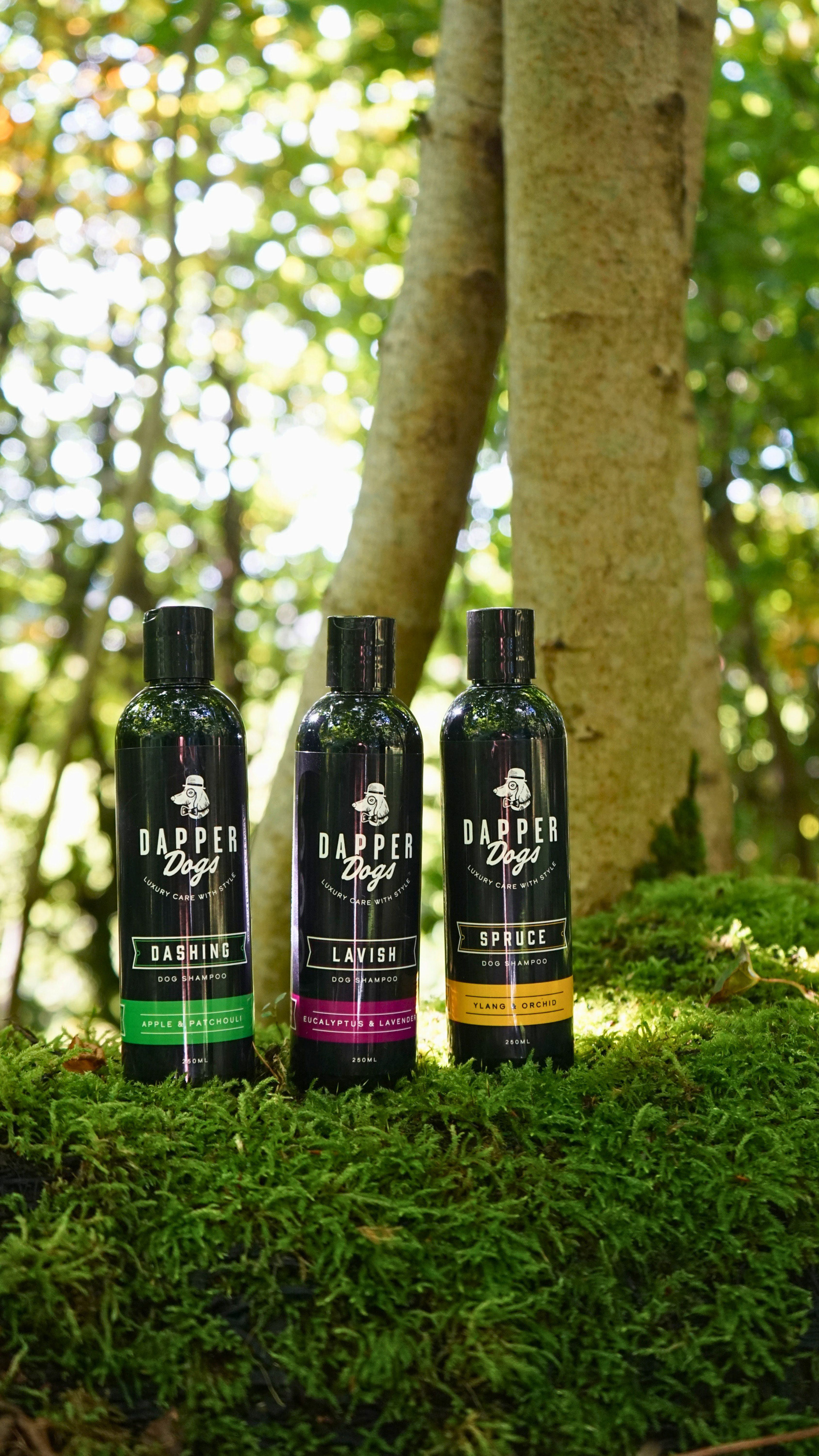 Dapper Dogs Product Photography